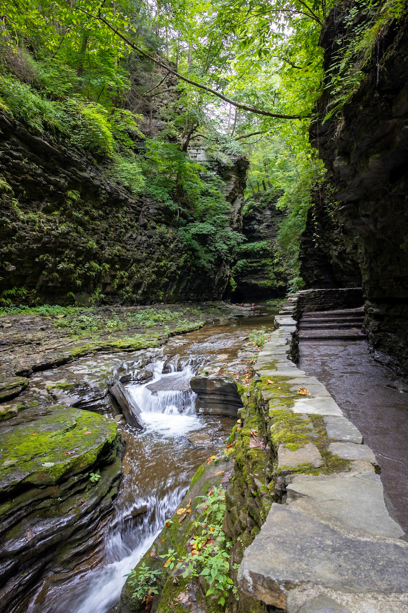 Watkins Glen Gorge Walk, Watkins Glen State Park, Watkins Glen, NY