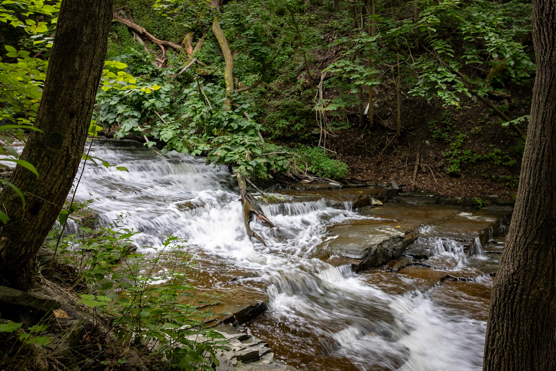 Cascadilla Gorge, Ithaca, NY