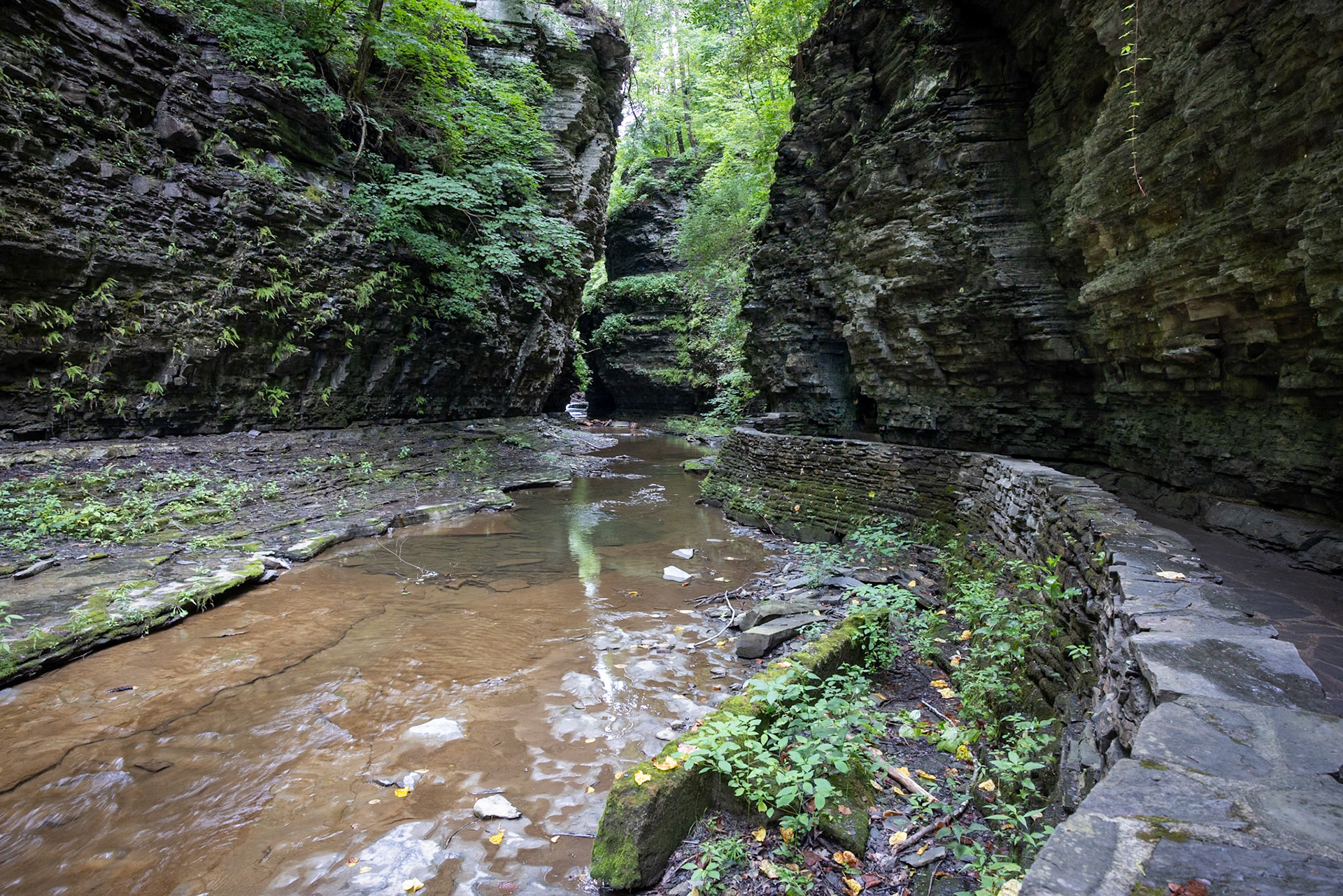 Watkins Glen Gorge Walk, Watkins Glen State Park, Watkins Glen, NY