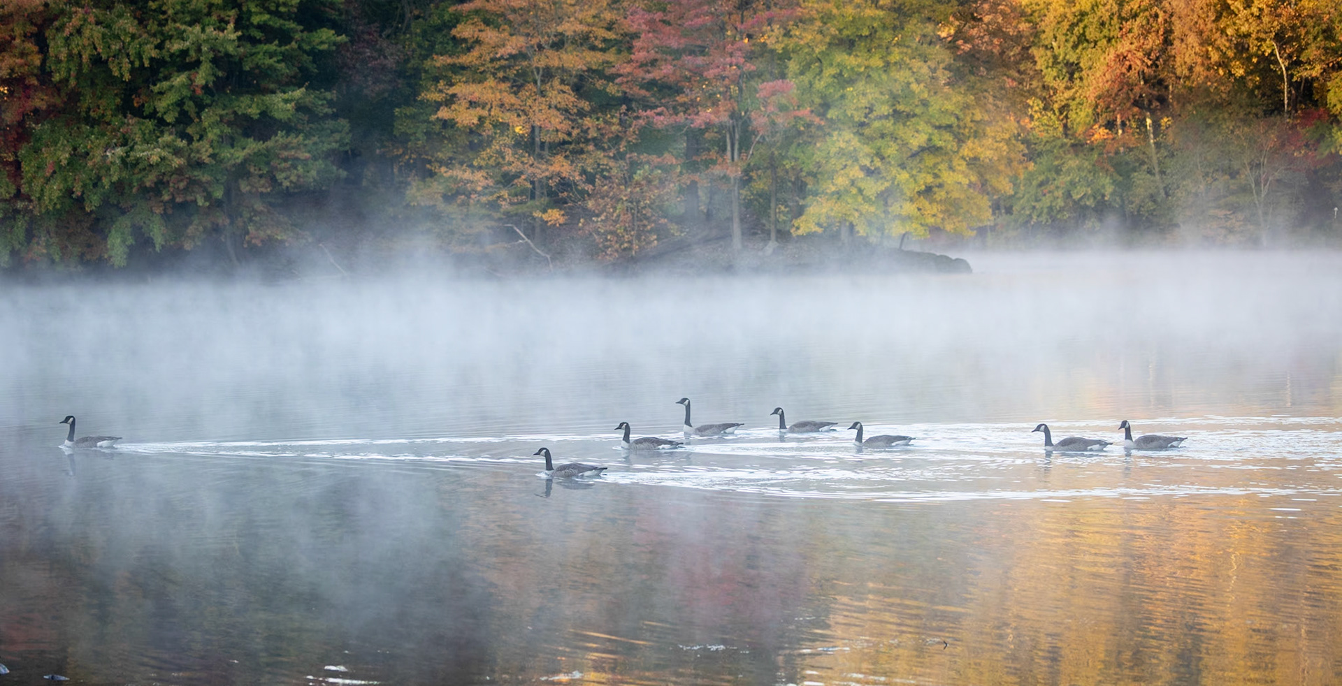 On the move through the mist rising from the lake