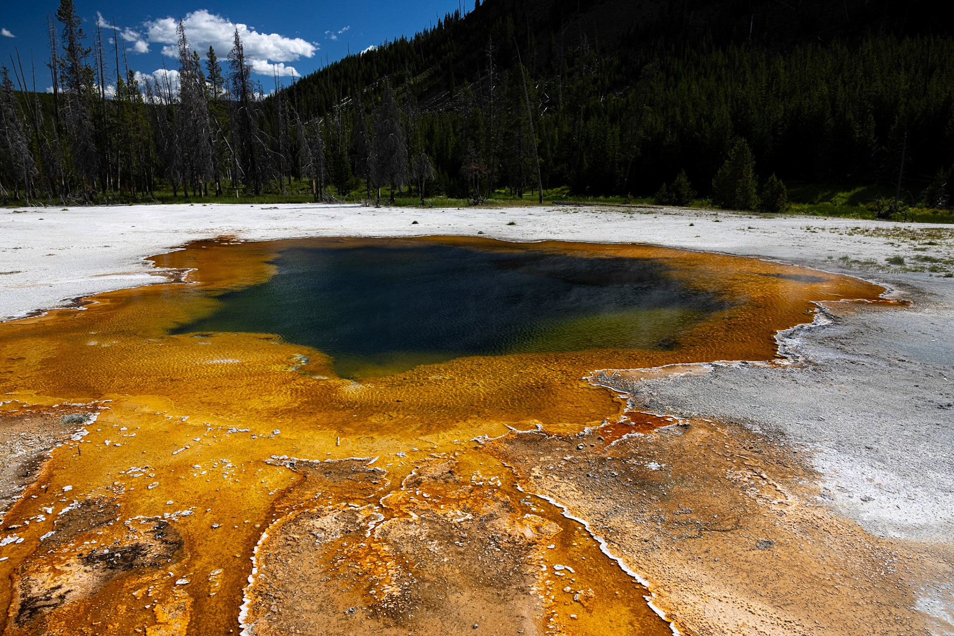 Black Sand Geyser Basin