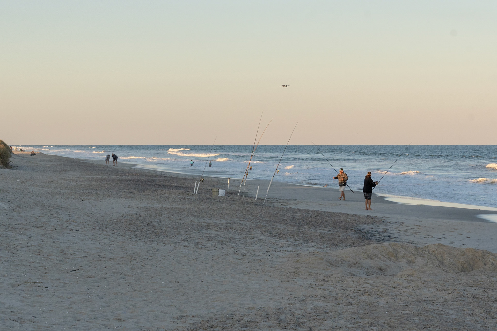 Assateague Island National Seashore