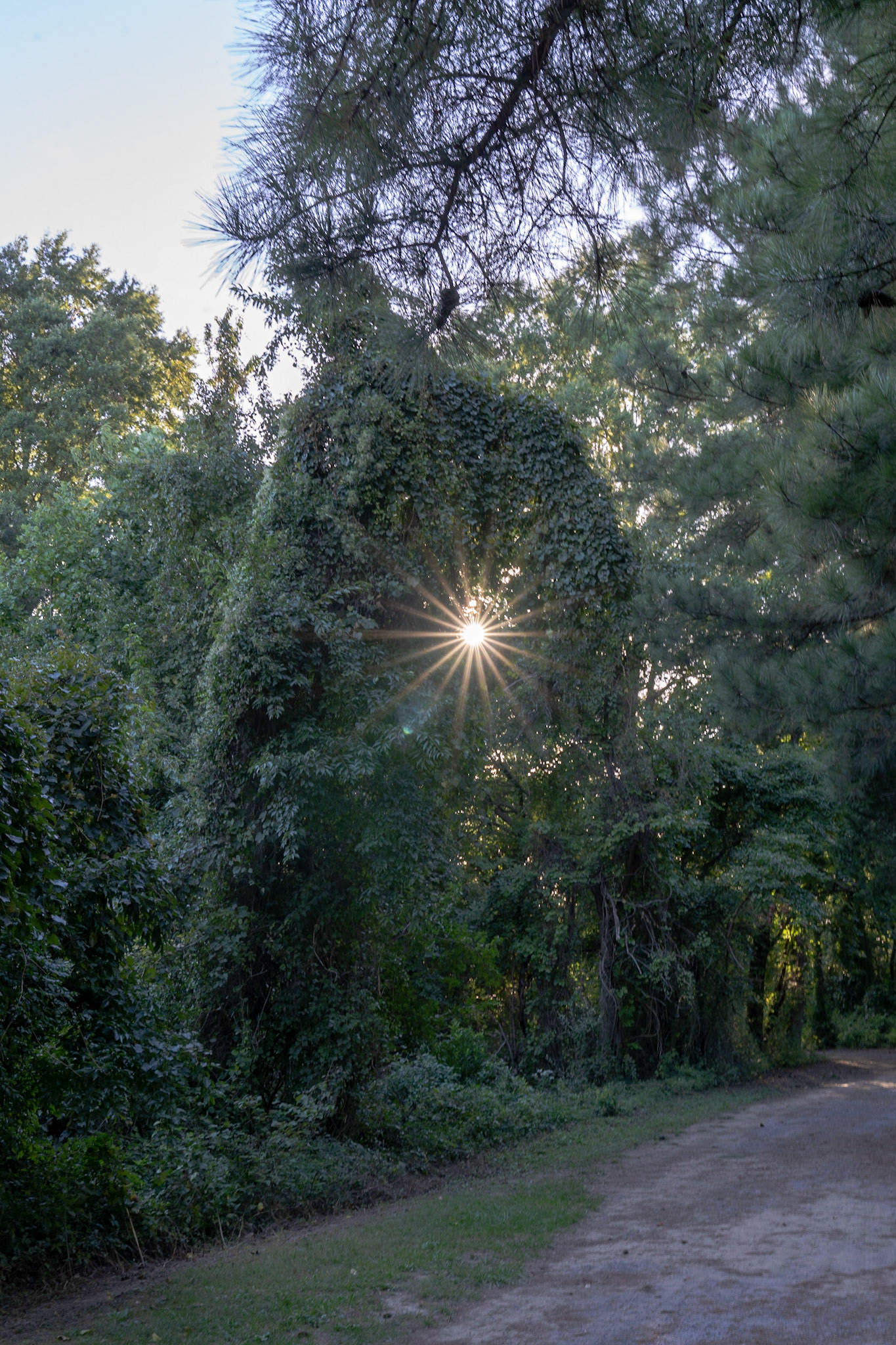 Terrapin Nature Park (Stevensville, MD)