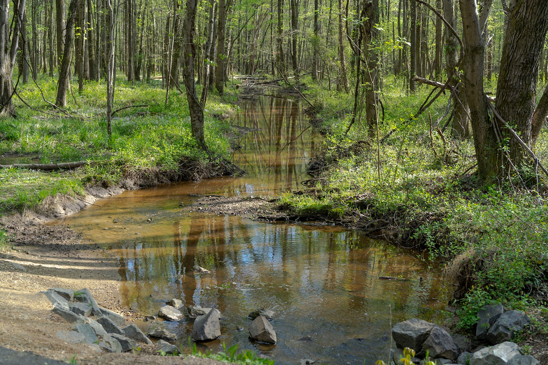 Huntley Meadows Park - Alexandria, VA