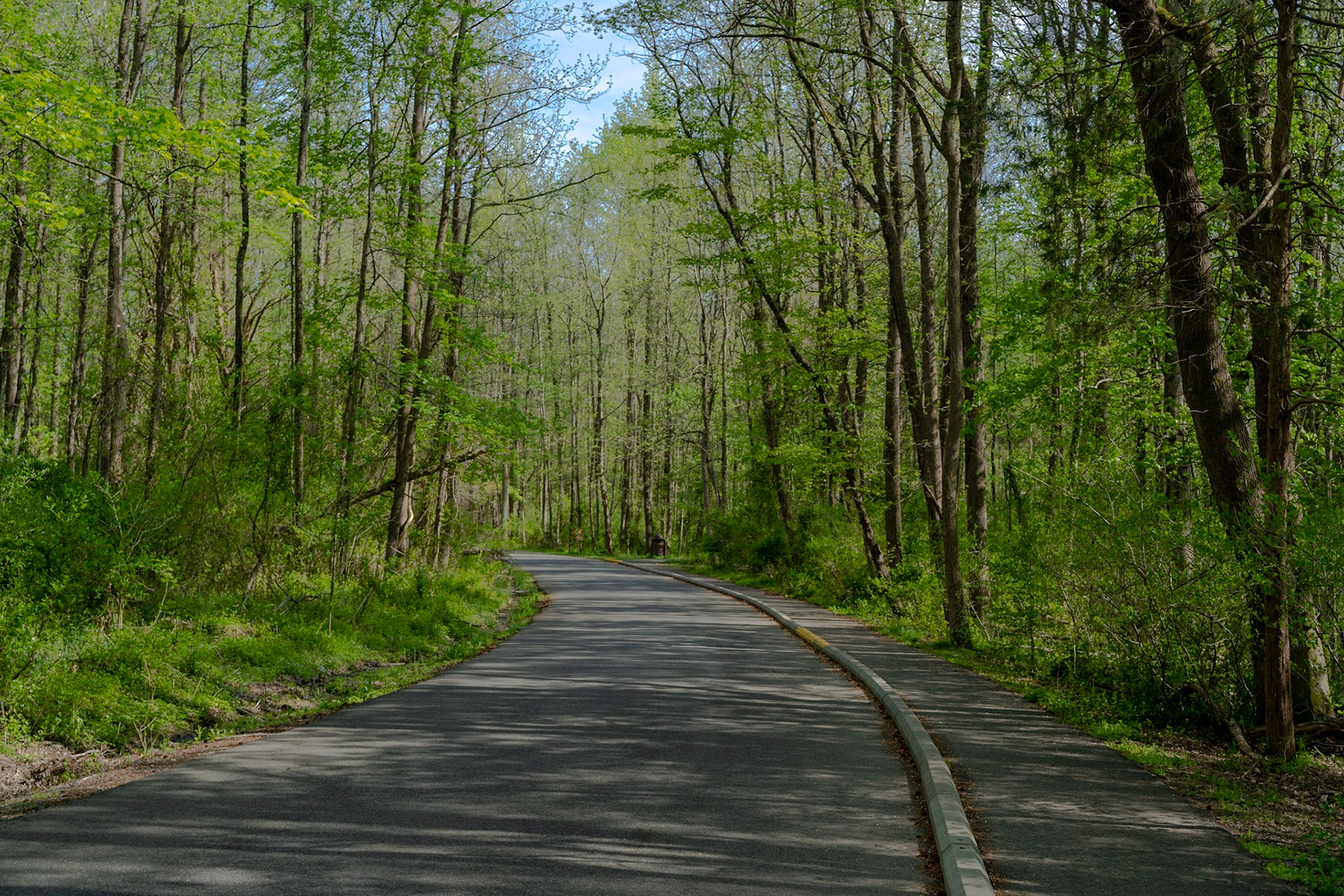 Huntley Meadows Park - Alexandria, VA