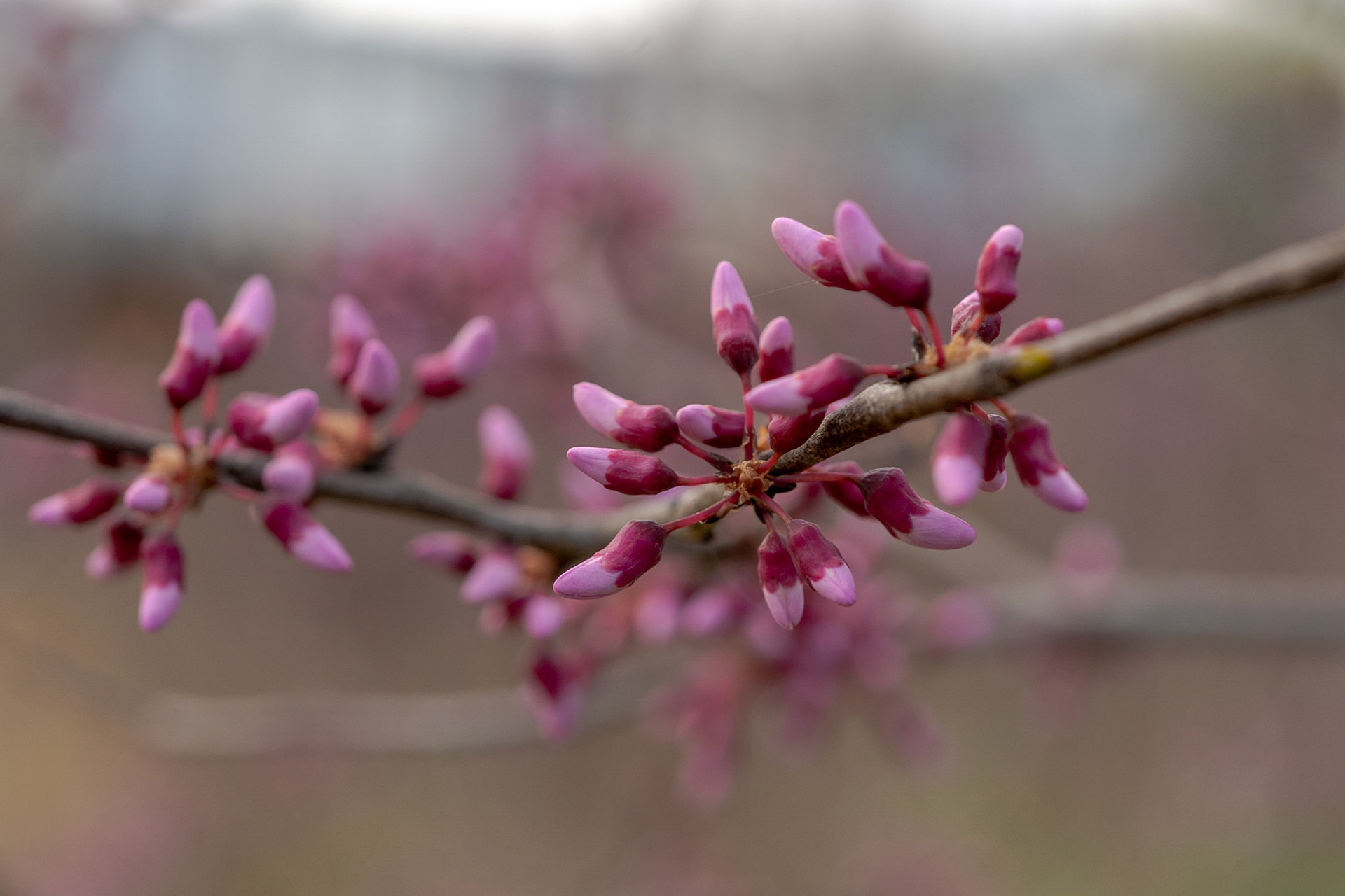 Olander and Margaret Banks Neighborhood Park - Alexandria, VA