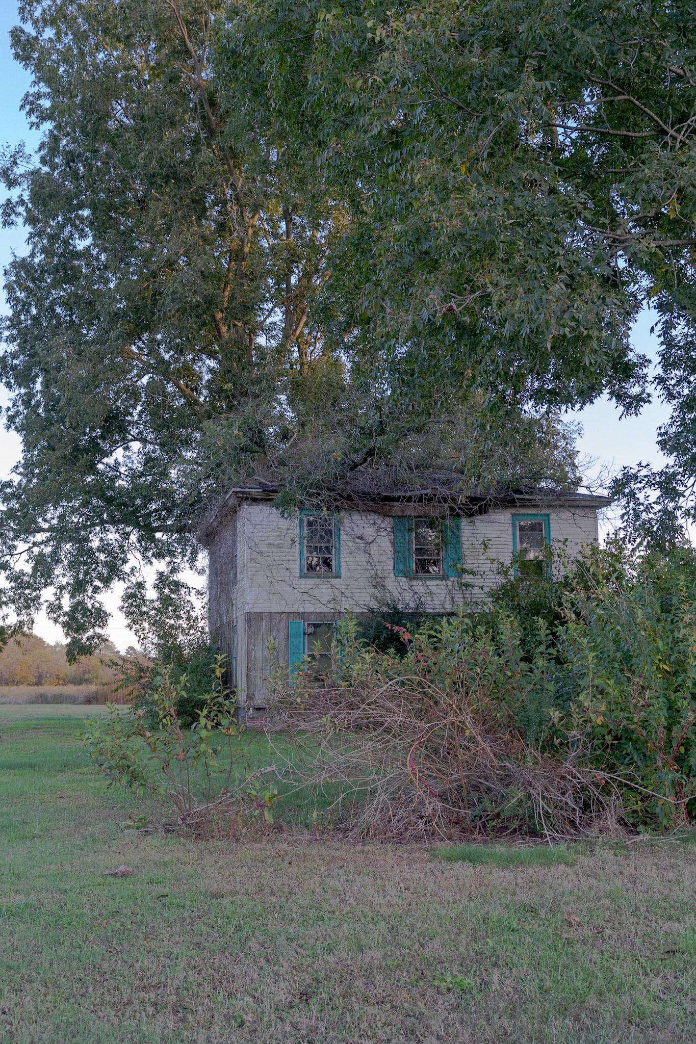 Abandoned House (Parksley, VA)