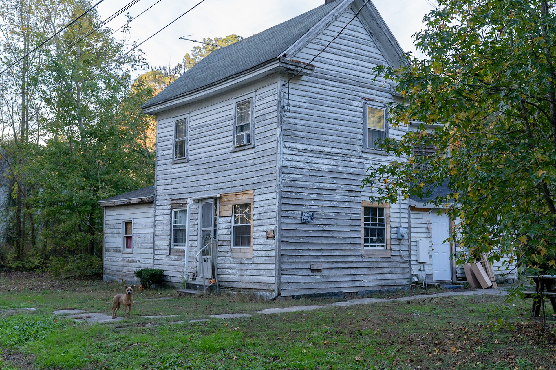 Abandoned House and stray dog (Bloxom, VA)