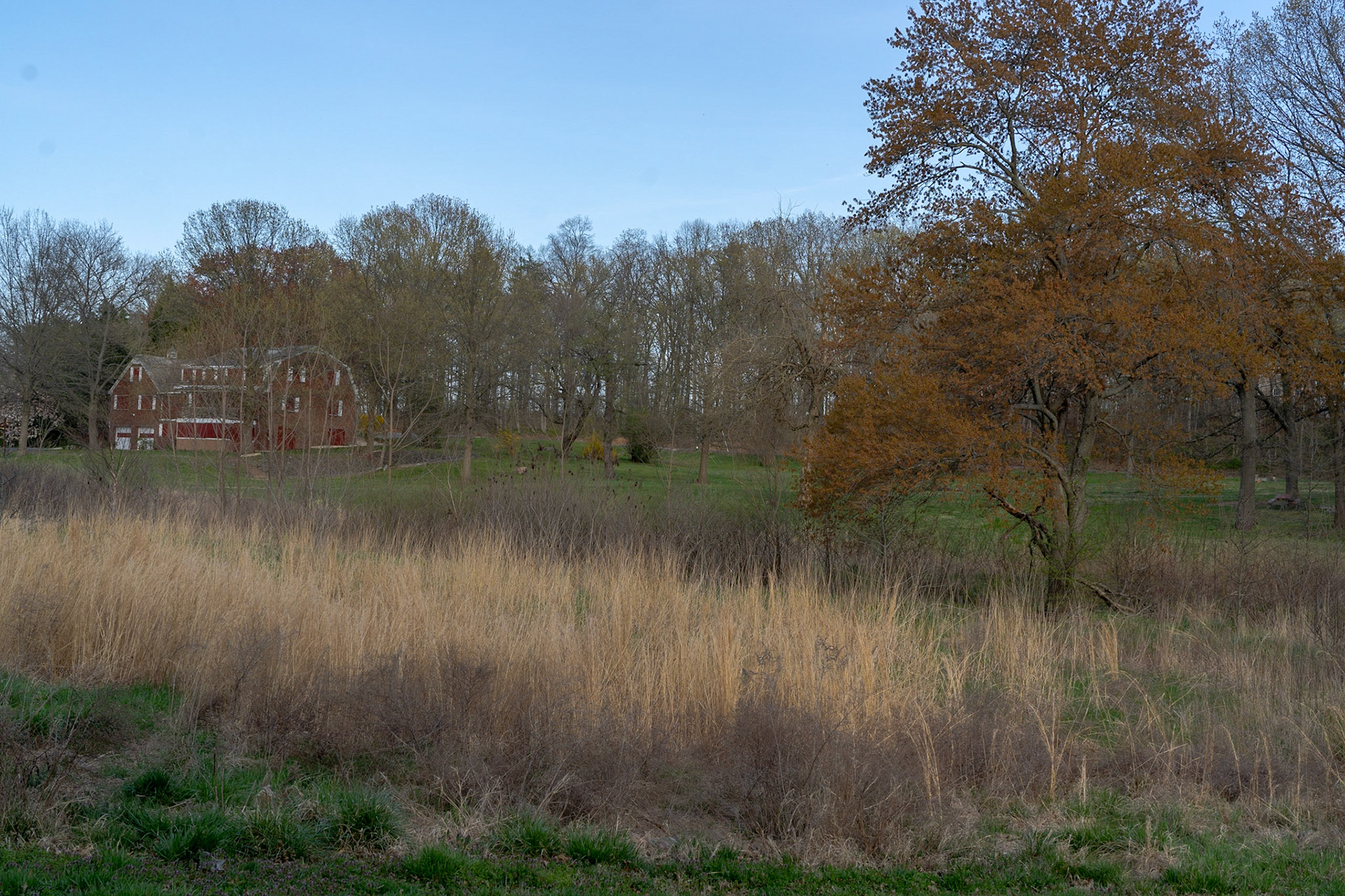 Olander and Margaret Banks Neighborhood Park - Alexandria, VA