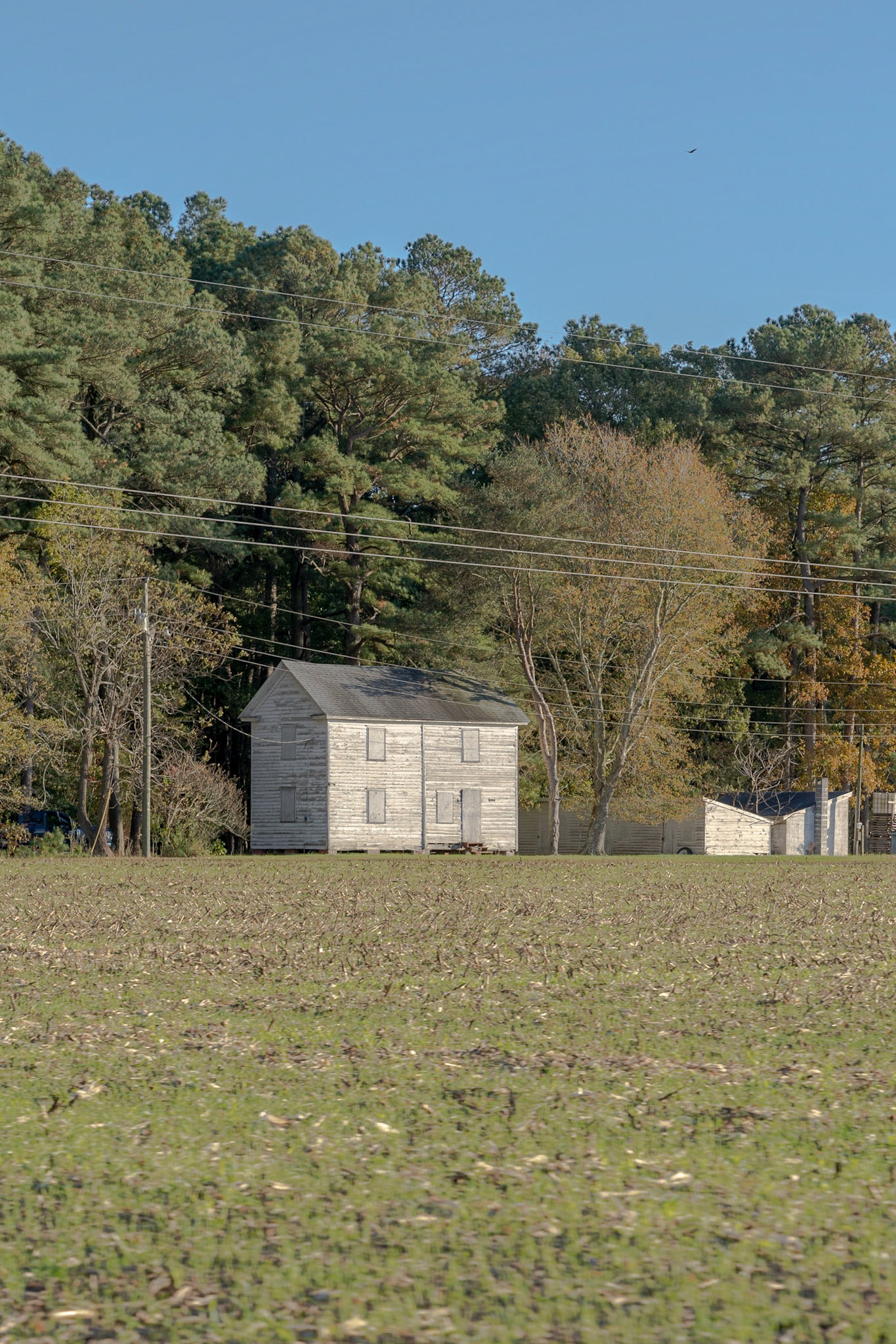 Abandoned House (Bloxom, VA)
