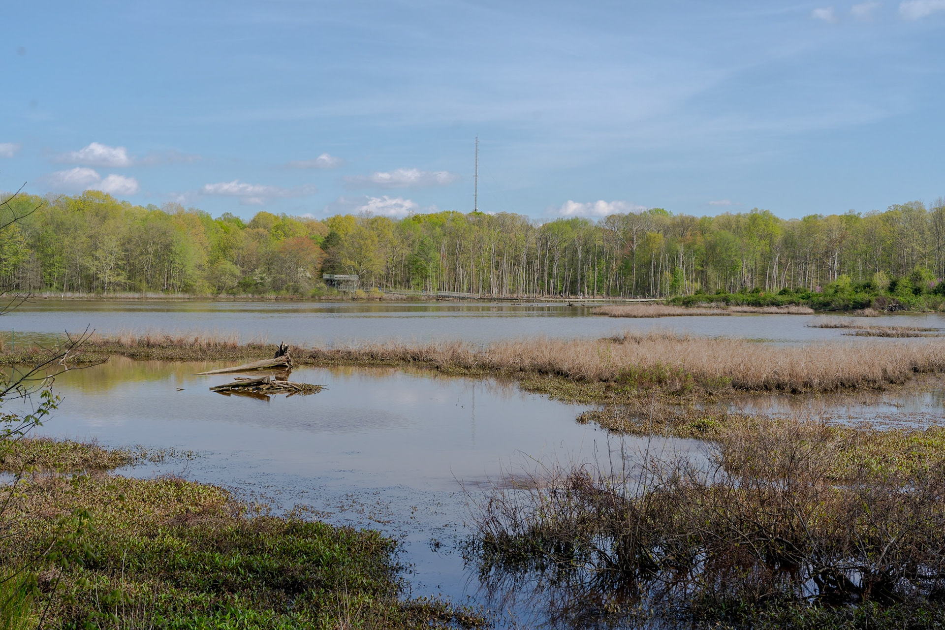 Huntley Meadows Park - Alexandria, VA