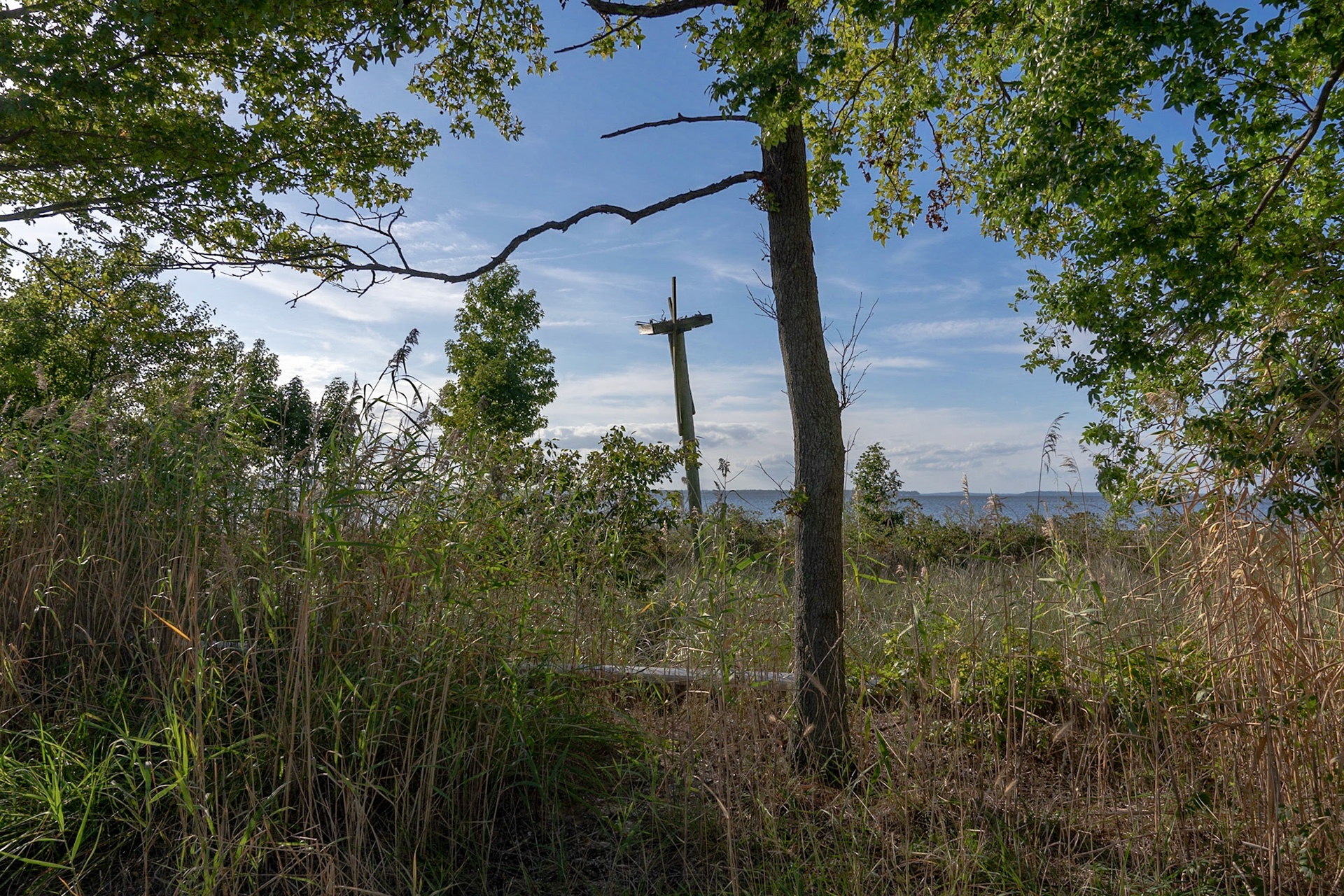 Platform for Eagles nest (Stevensville, MD)