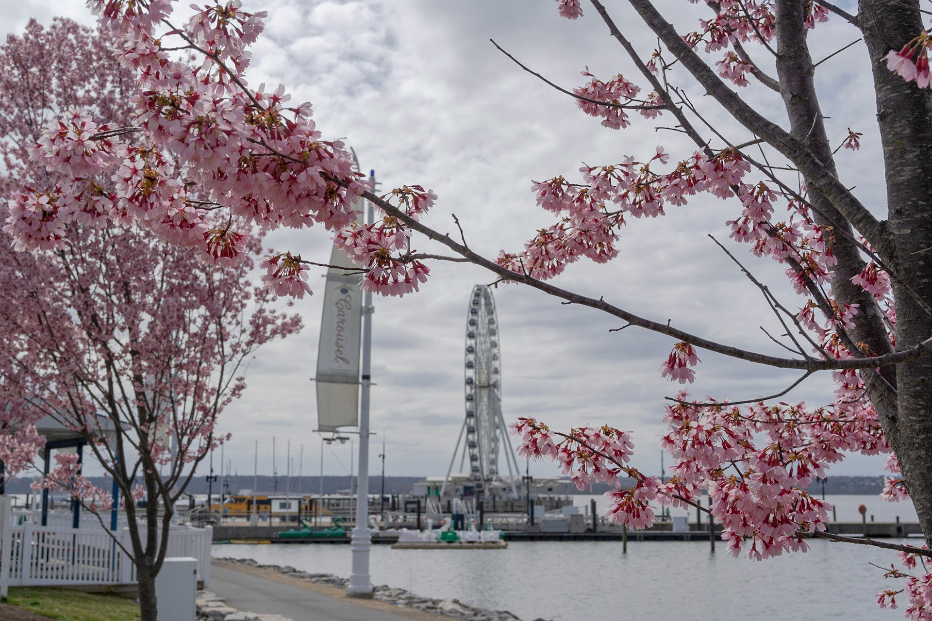 National Harbor - National Harbor, MD