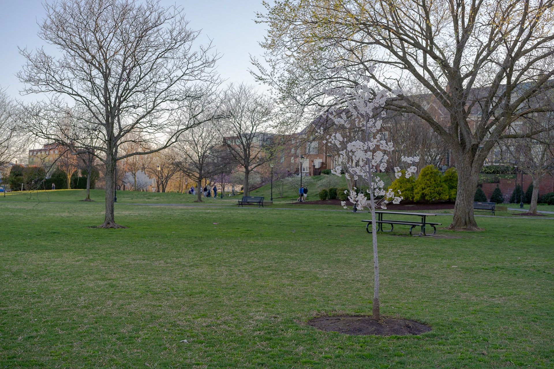 Oronoco Bay Park - Alexandria, VA