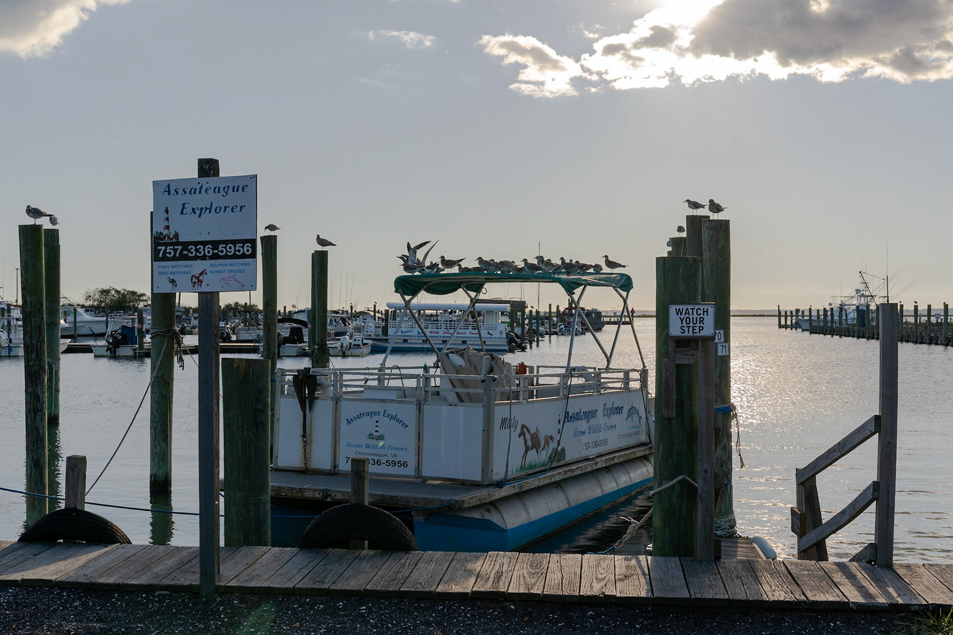 Inlet (Chincoteague, VA)