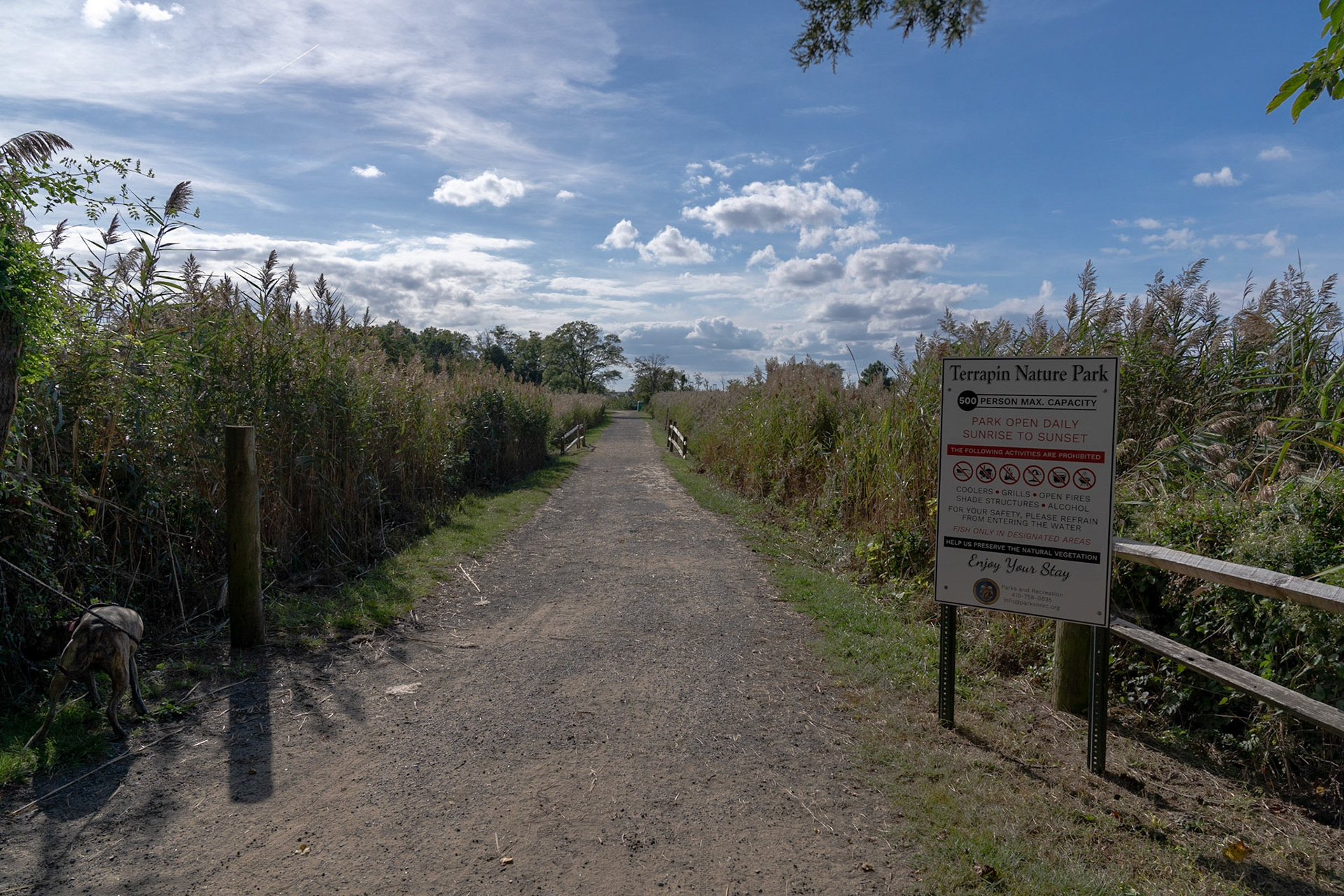Terrapin Nature Park (Stevensville, MD)