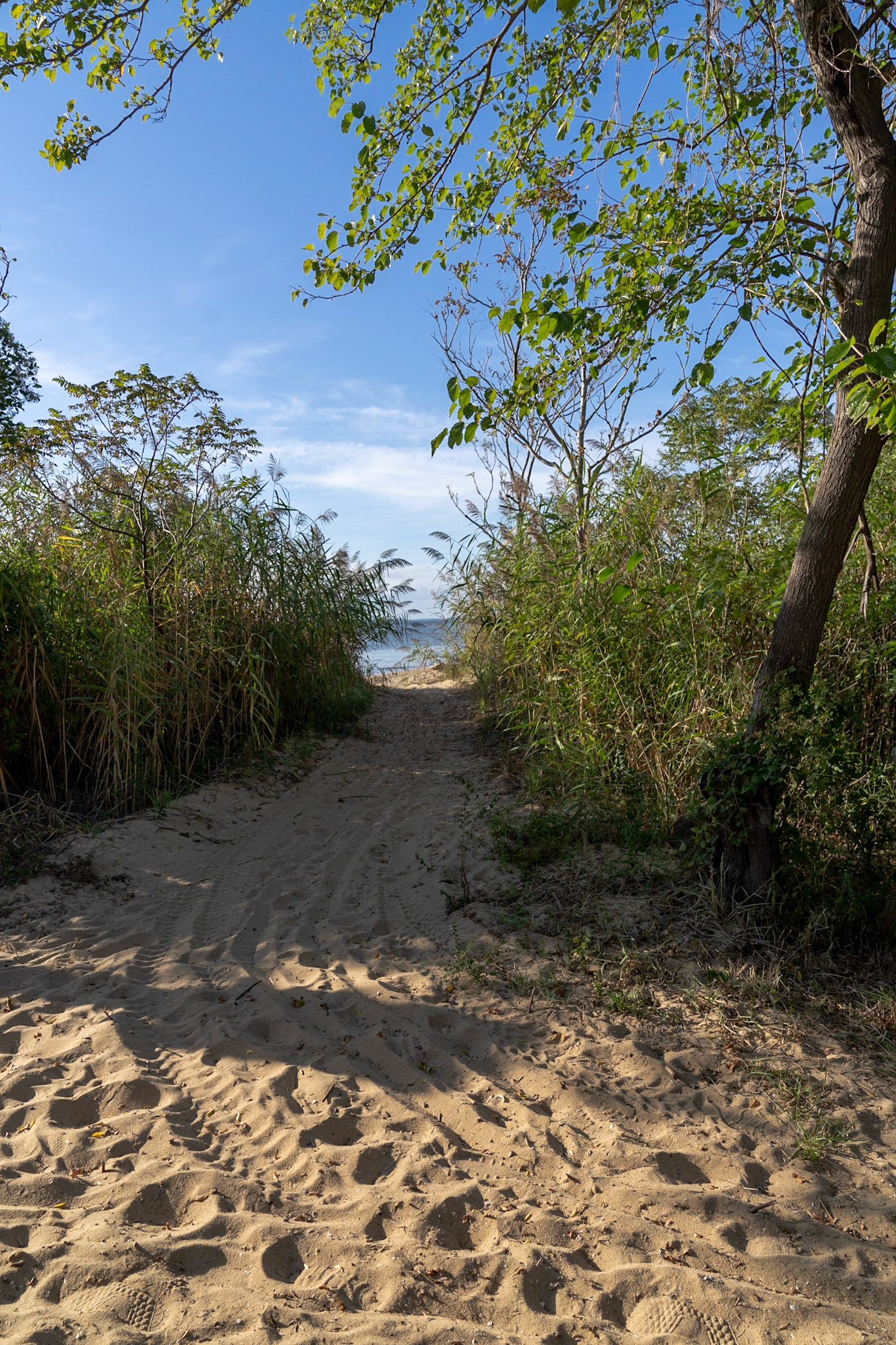 Terrapin Beach Park (Stevensville, MD)