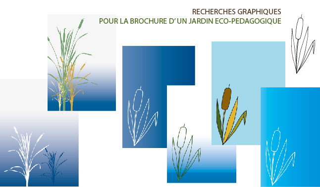 Recherches graphiques illustratives pour la brochure d'un jardin éco-pédagogique à Roubaix.