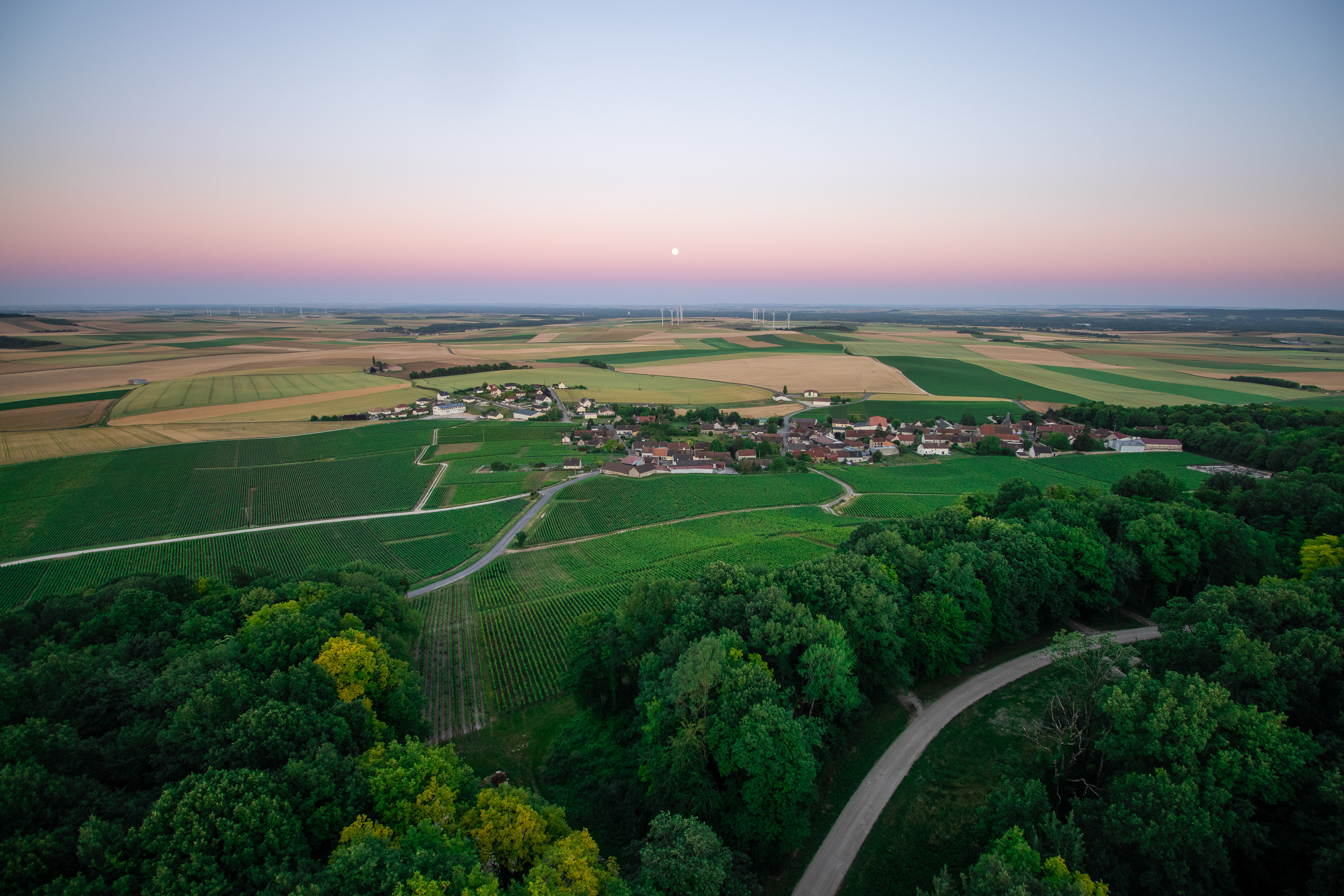 Sublime Nature au Corps de Vert