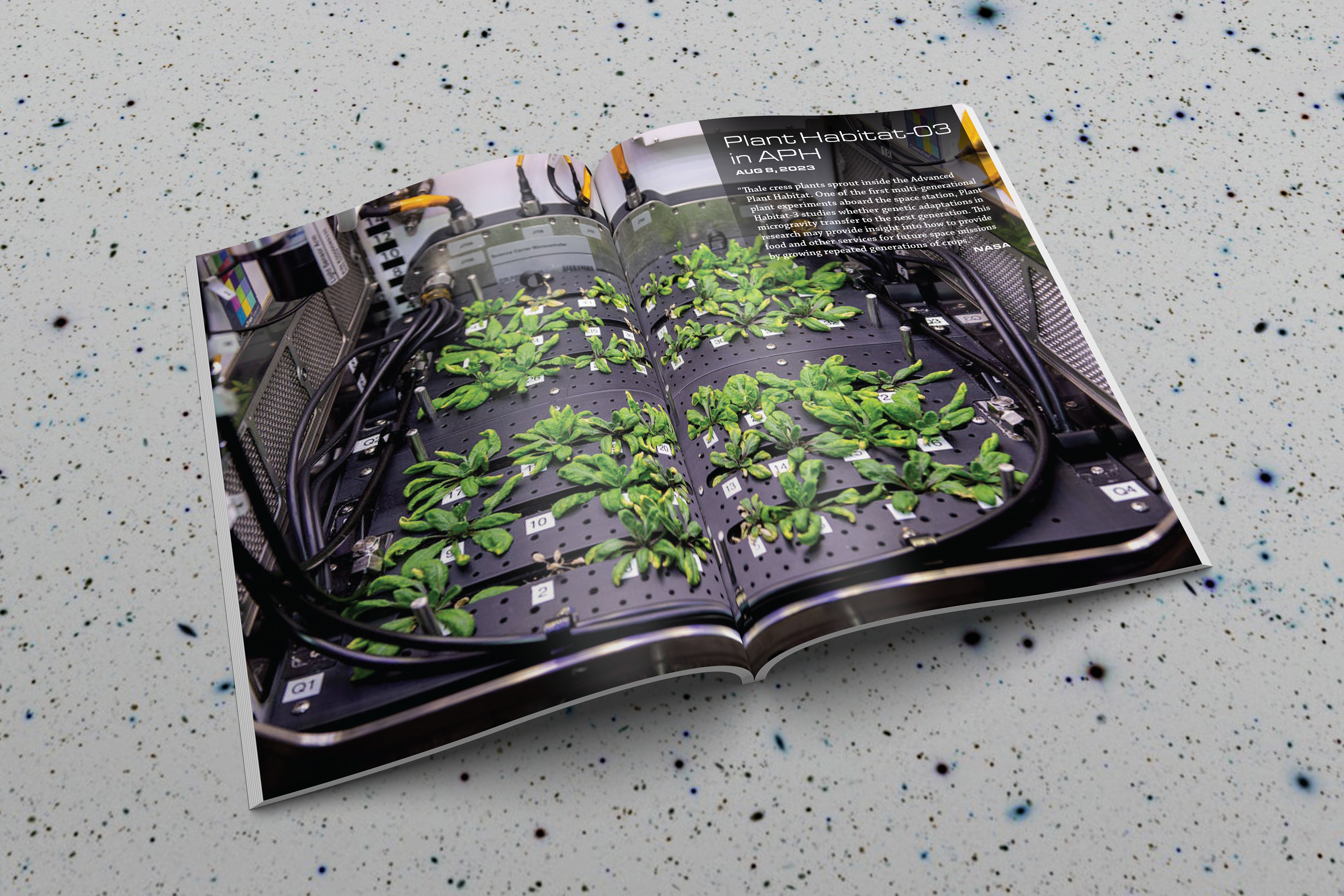 ISS Photo Feature Spread