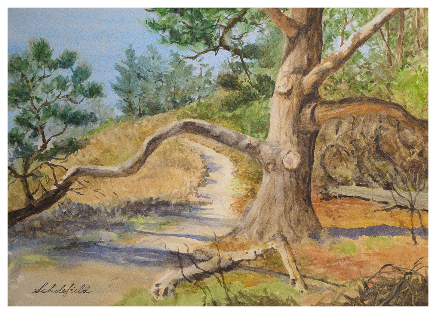 The China Cove Trail • 10x14