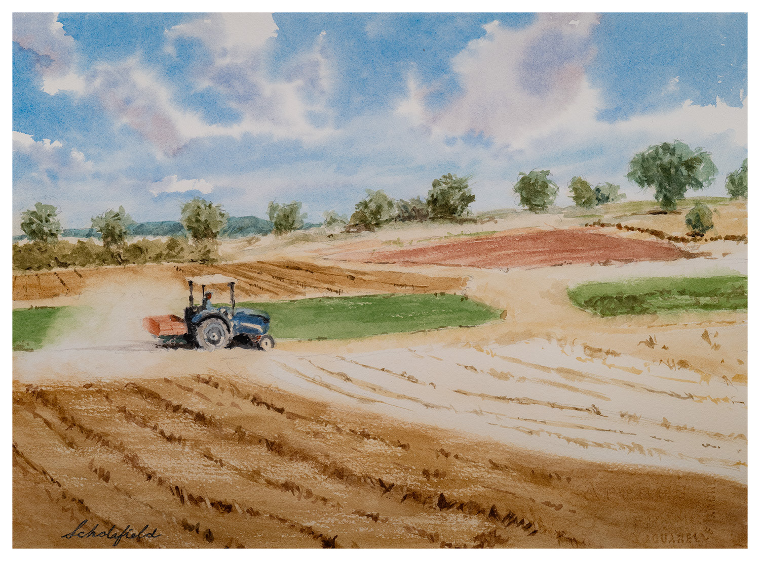 In the Fields of Ilium: A Way Through • 11x15-inches • Arches