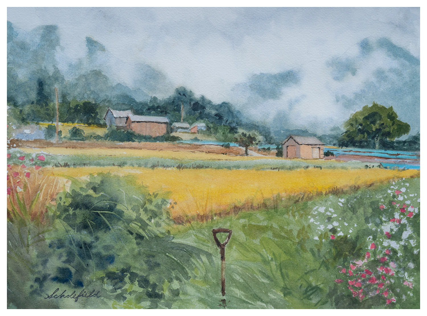 Rice, Japan • 11x15
