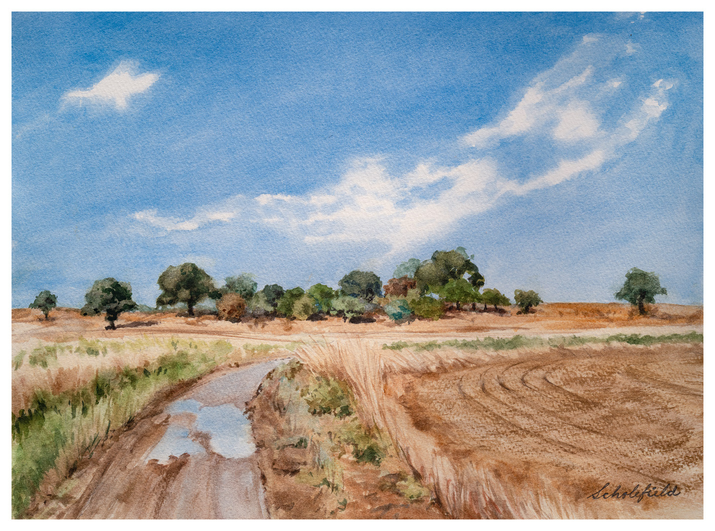 In the Fields of Ilium: The Valonia Copse • 11x15