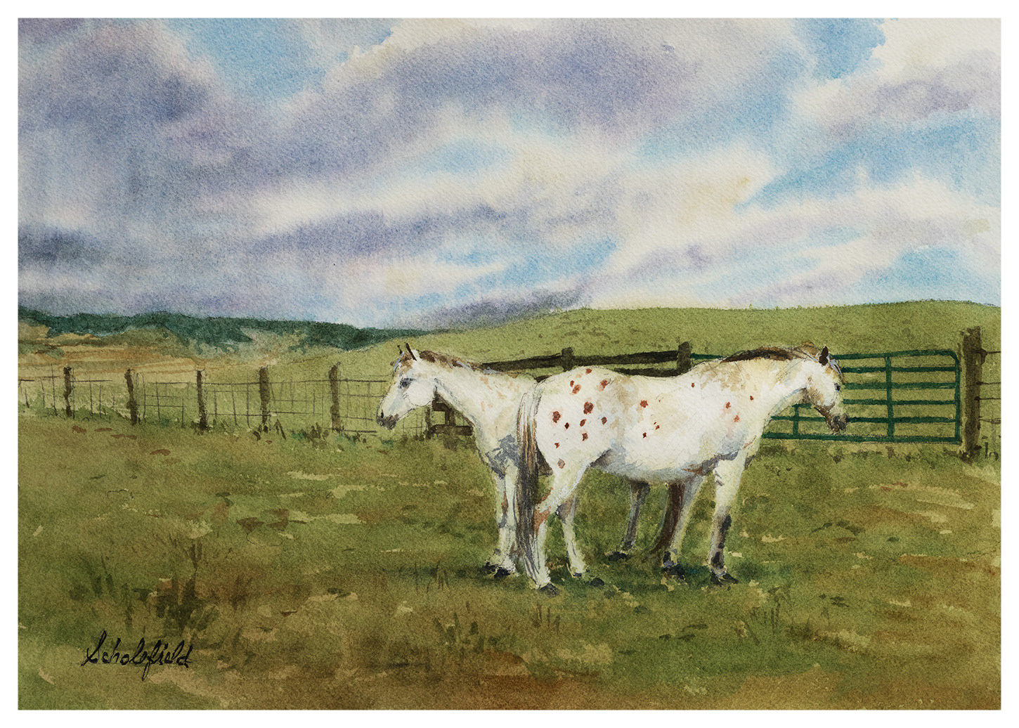 No Complaints • 10x14-inches