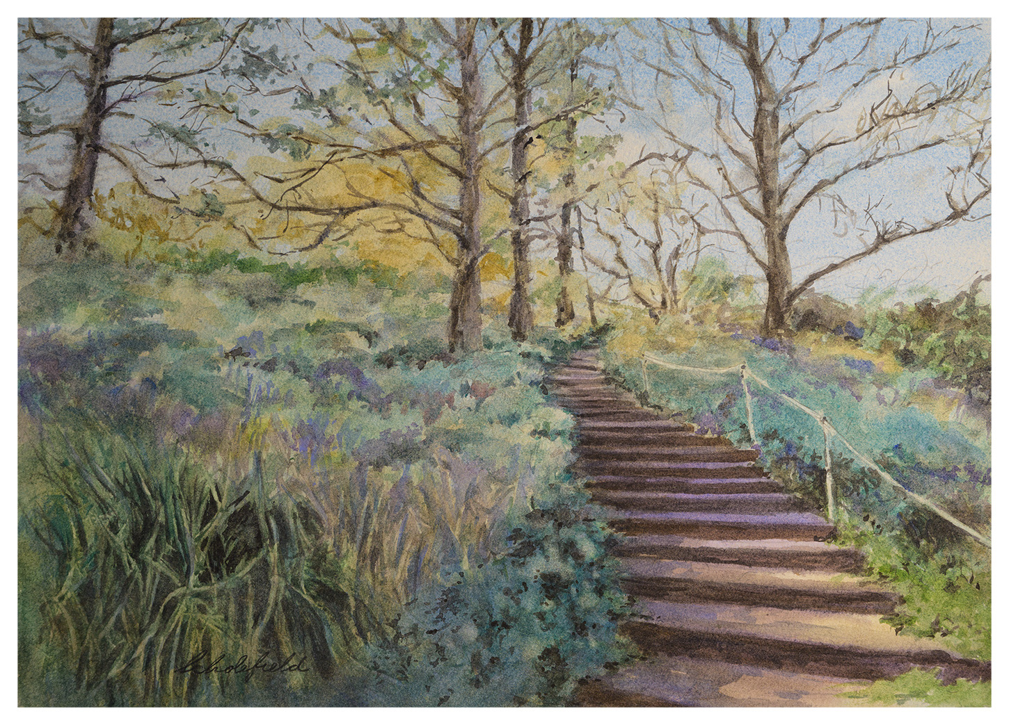 The Steps at Whaler’s Cove • 10x14