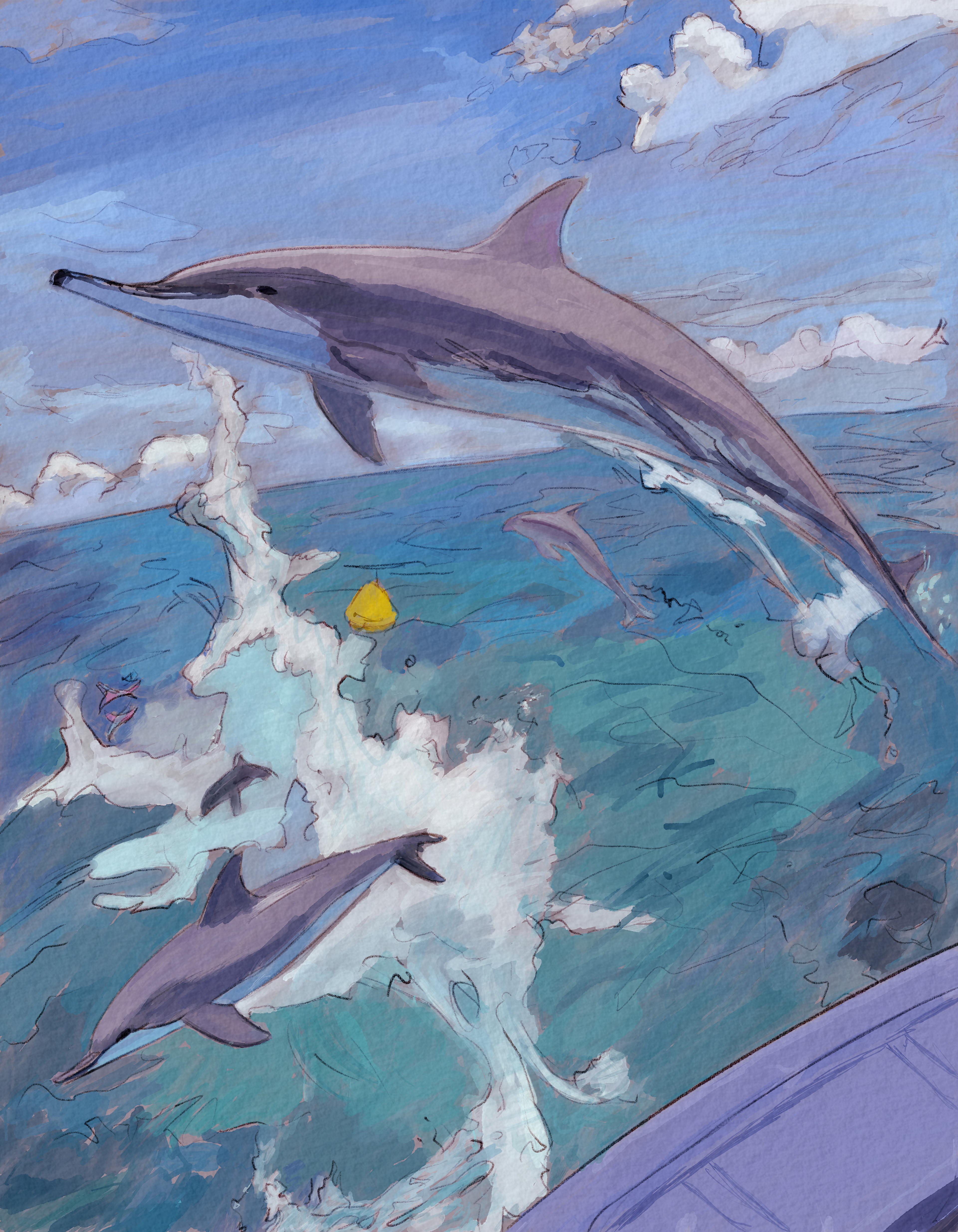 Page 5, dolphins jumping out of the water