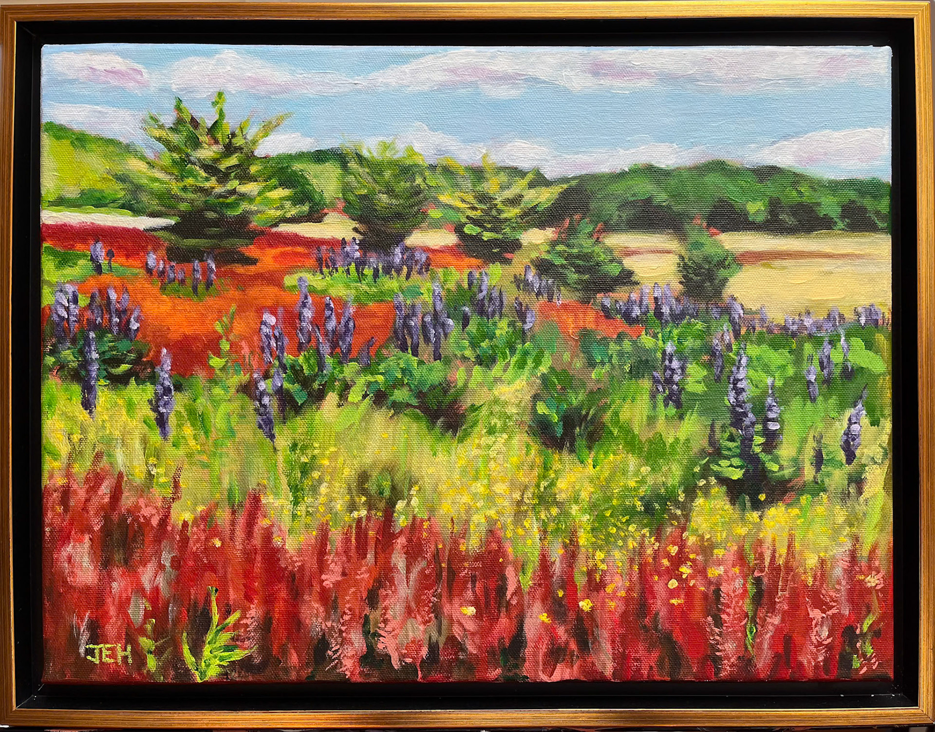 [SOLD] Lupine, 16x12, acrylic