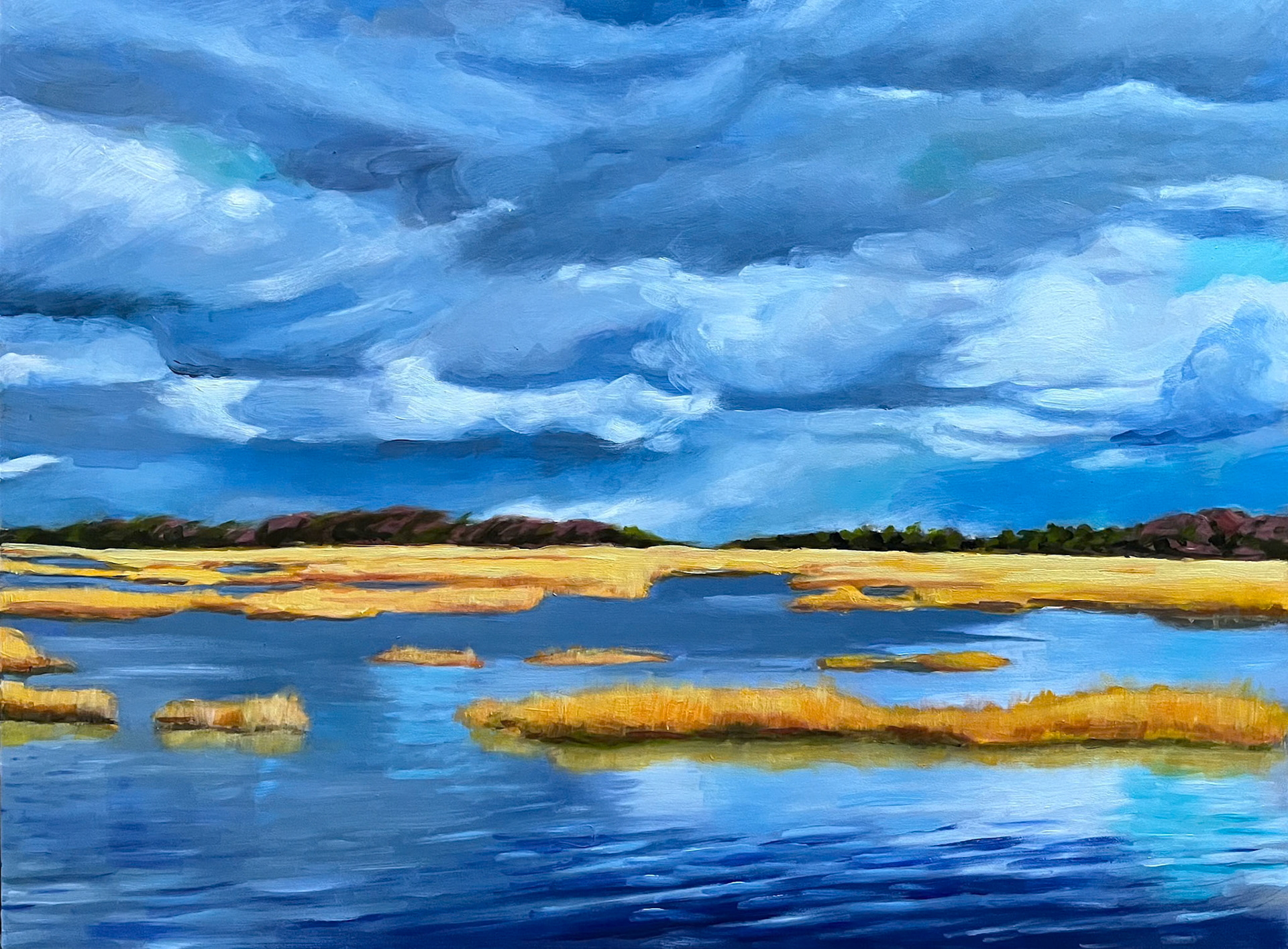 [SOLD] Squall on the Marsh, 16x12, oil on gesso board