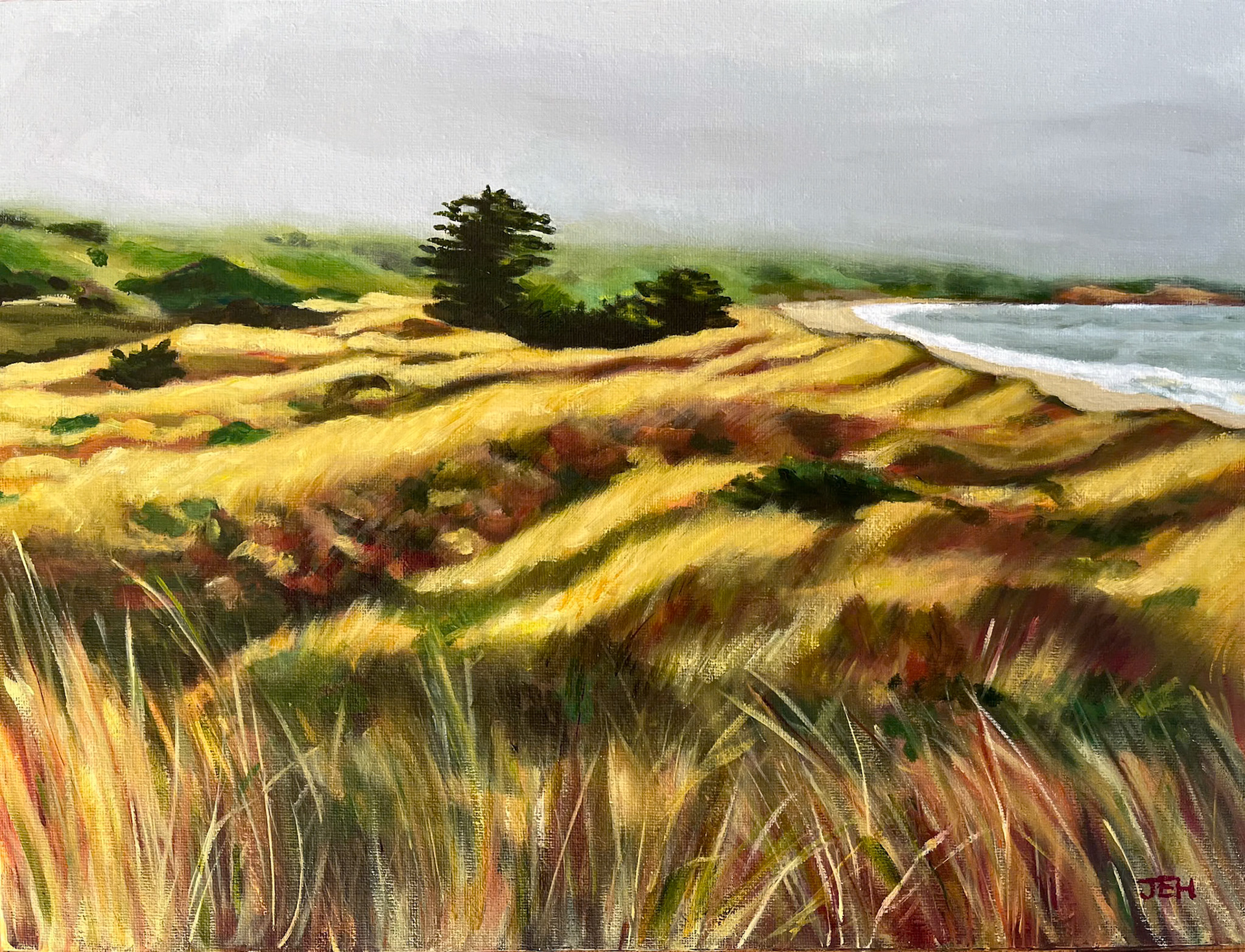 Pt. Reyes Fog, 16x12, oil on canvas board