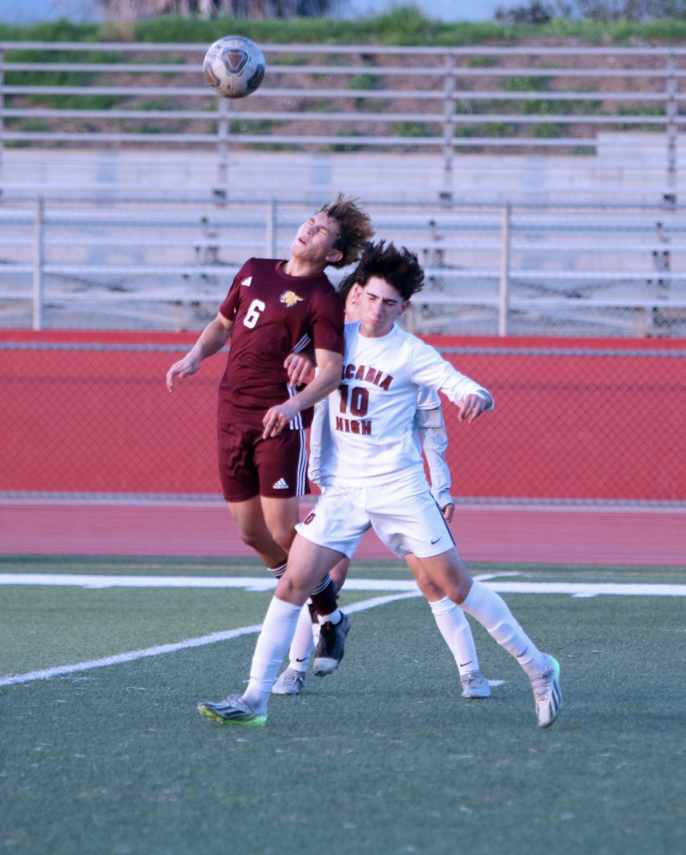 WILSON vs ARCADIA
