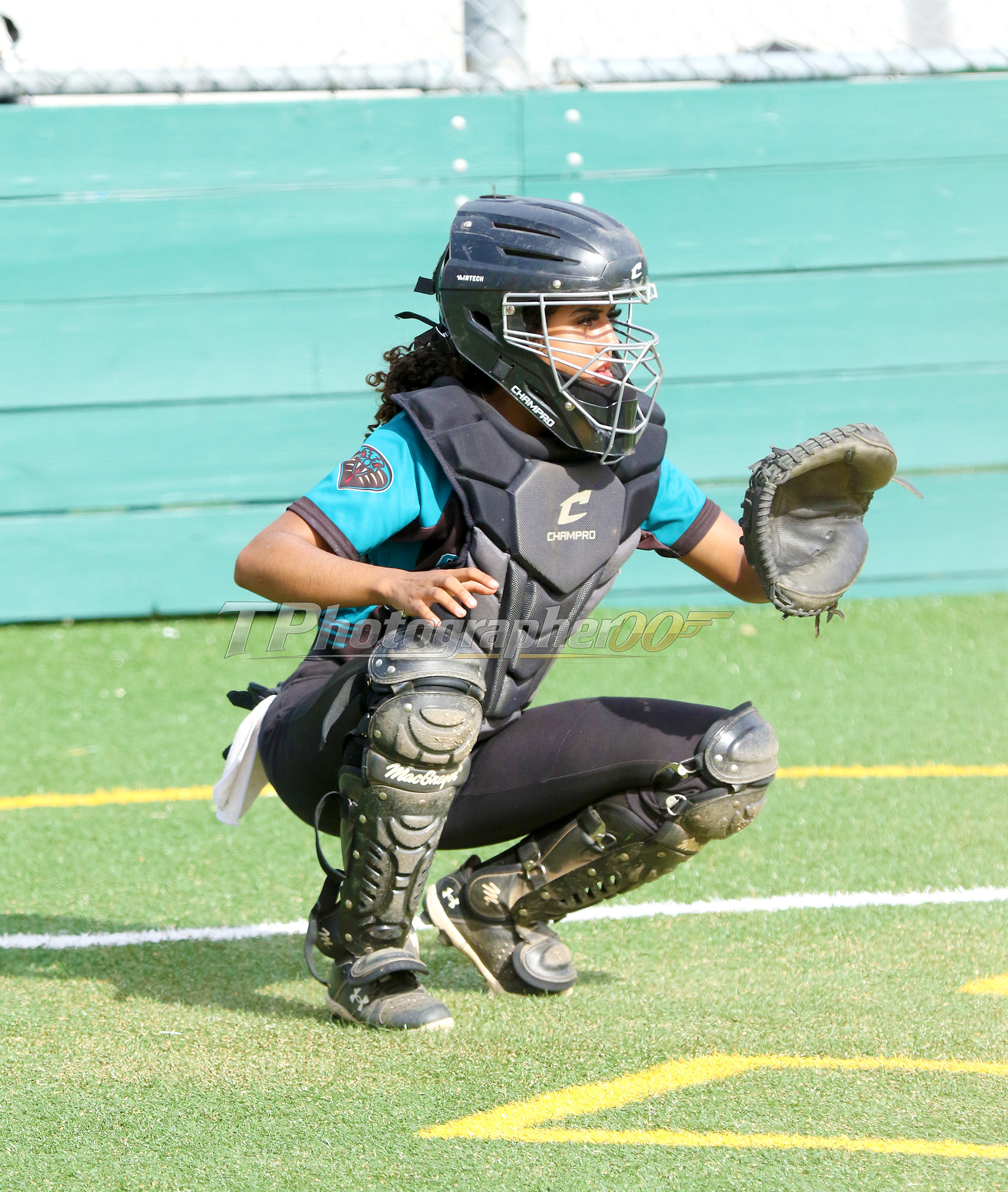 LADY COBRAS