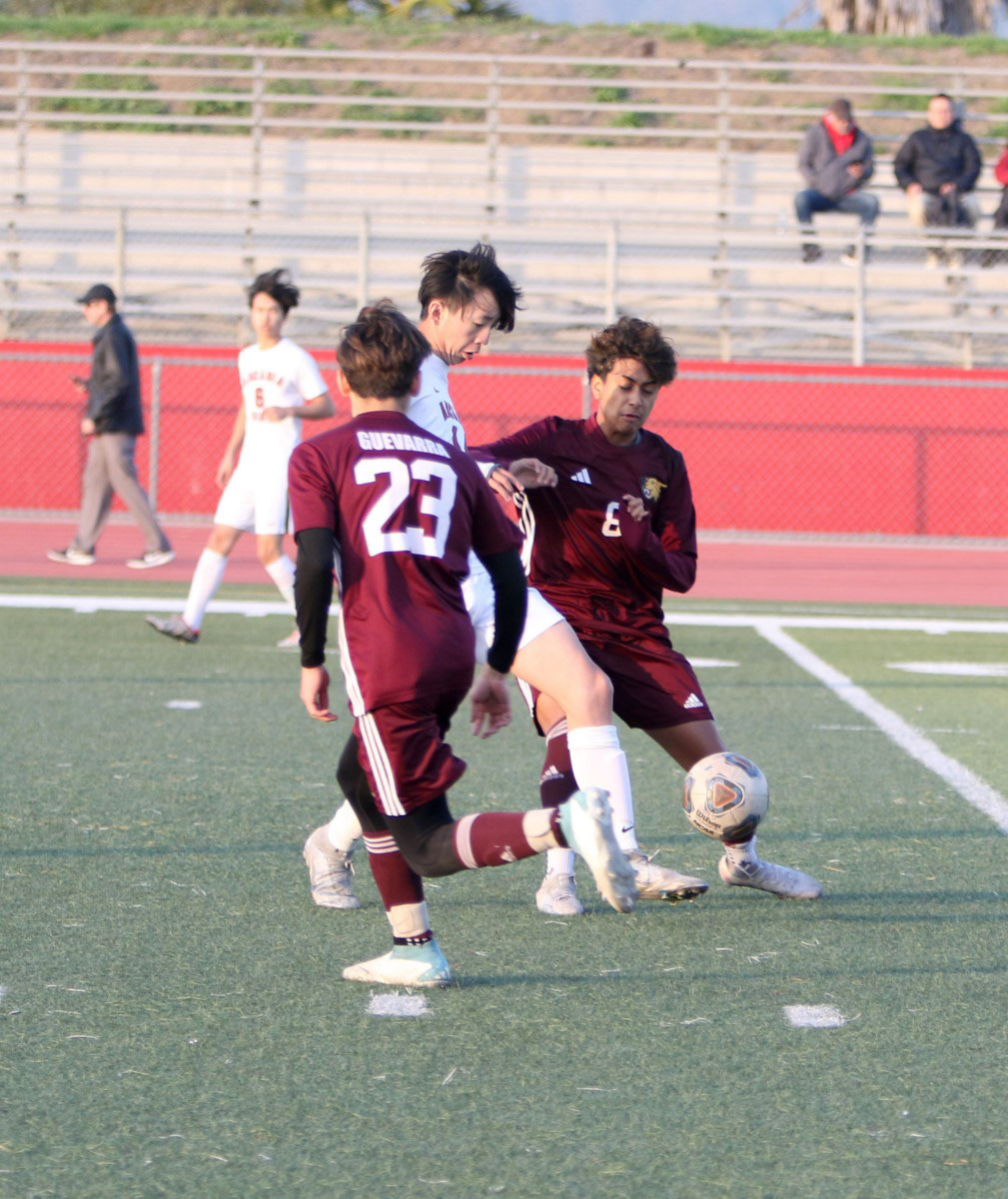 WILSON vs ARCADIA