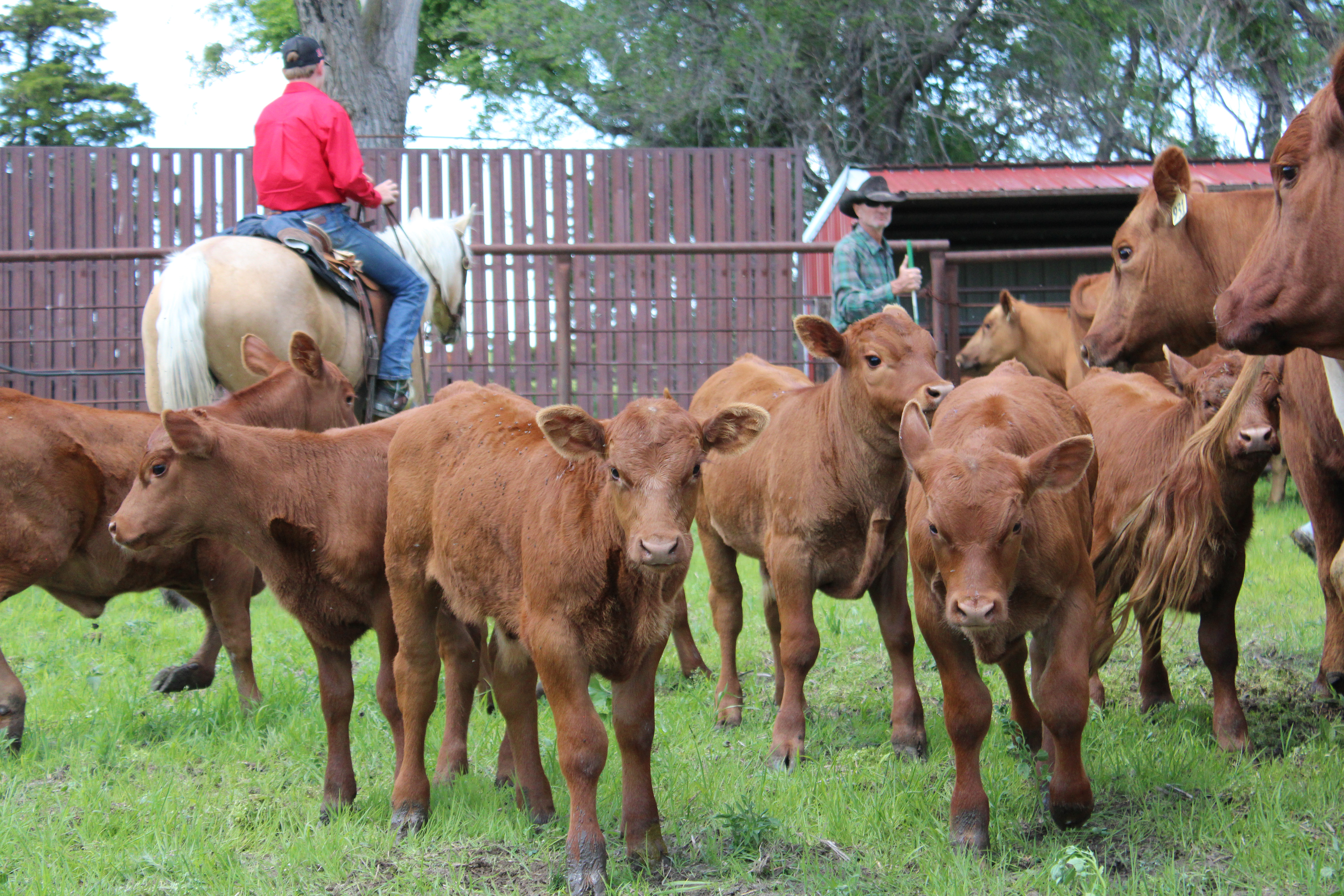 2024 Spring Branding