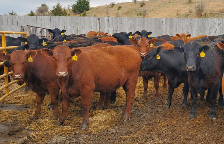 CIDR Saturday