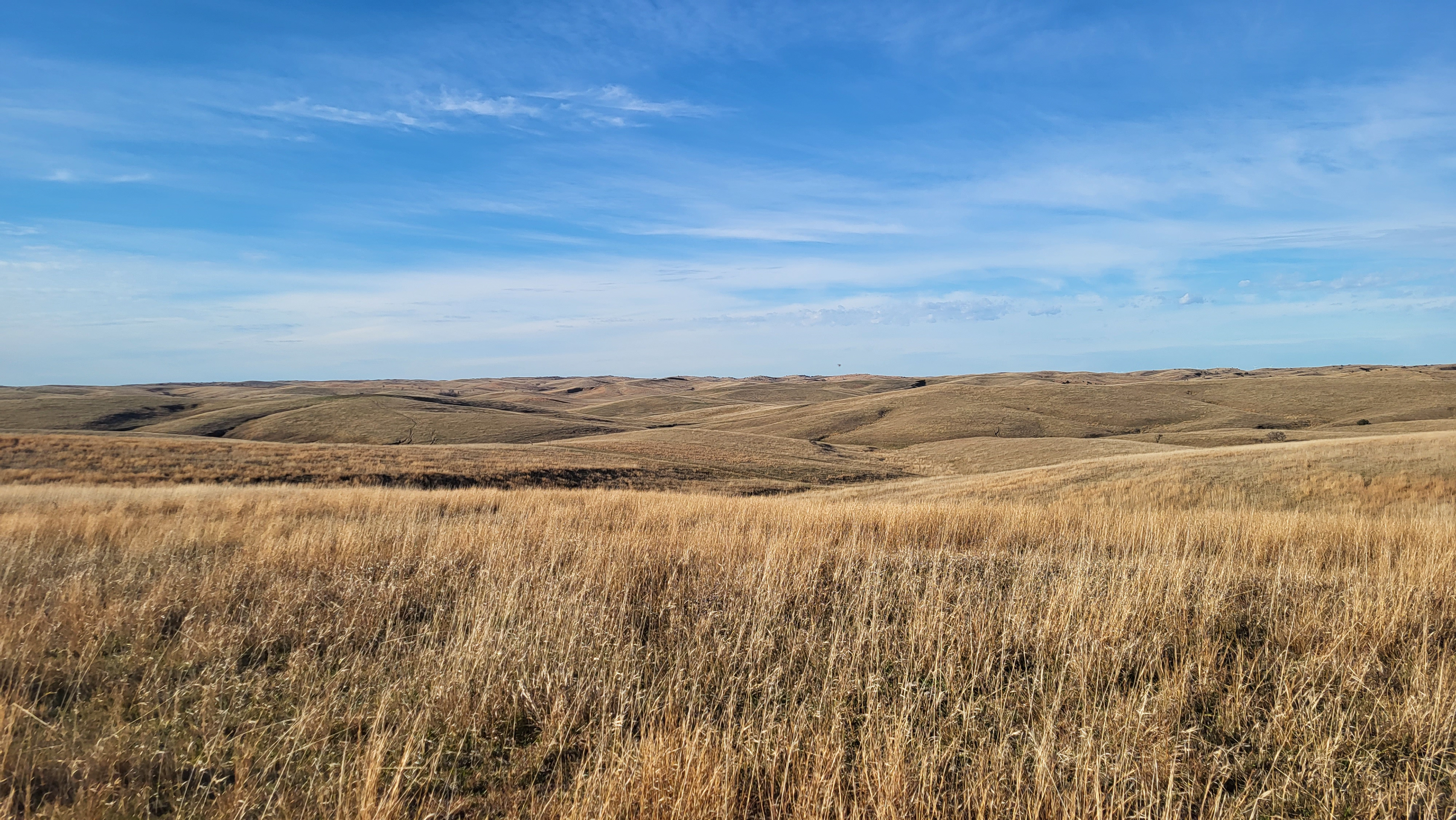 November 2023 - Grace's Pasture
