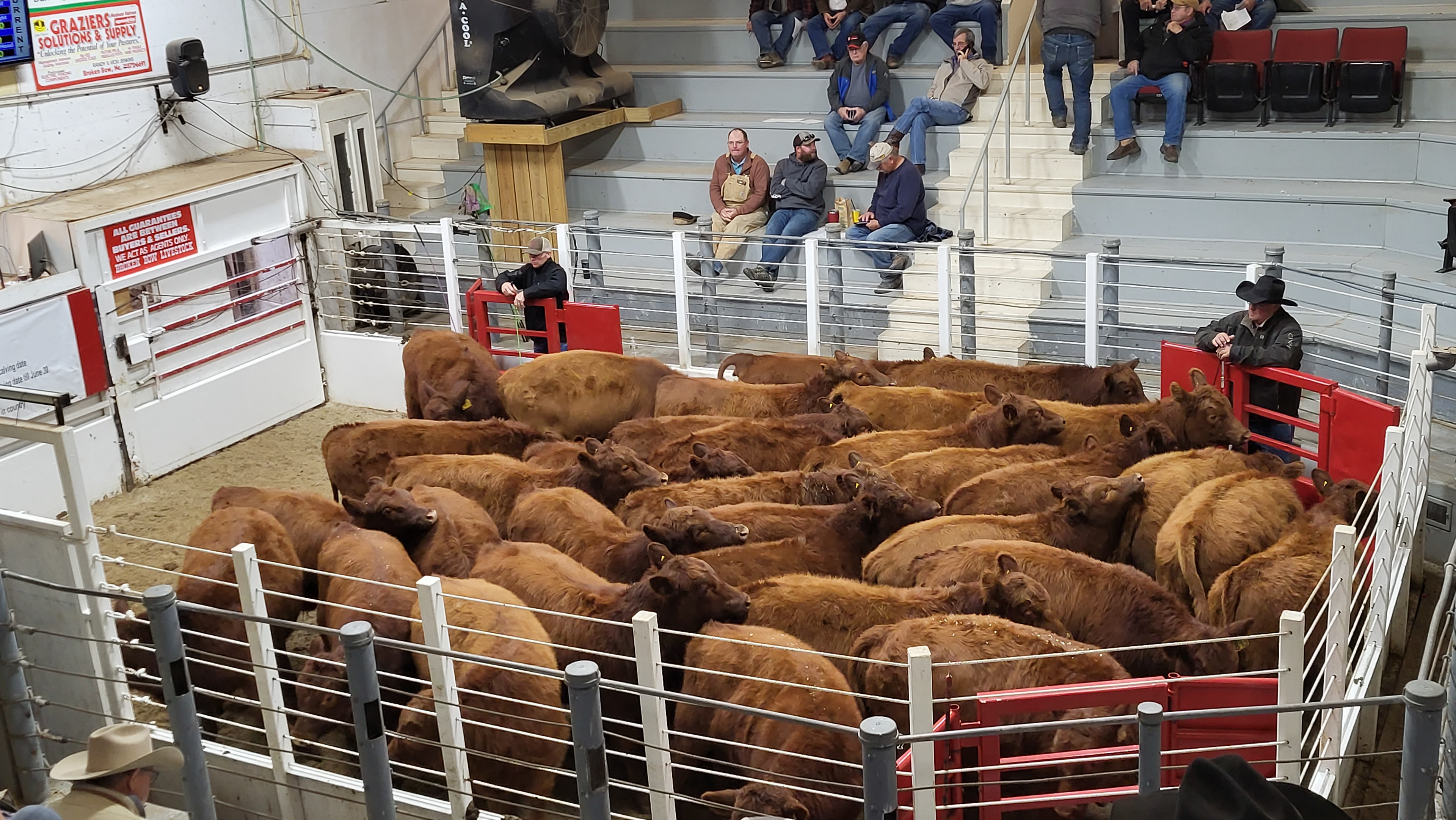 Sale Day 2022