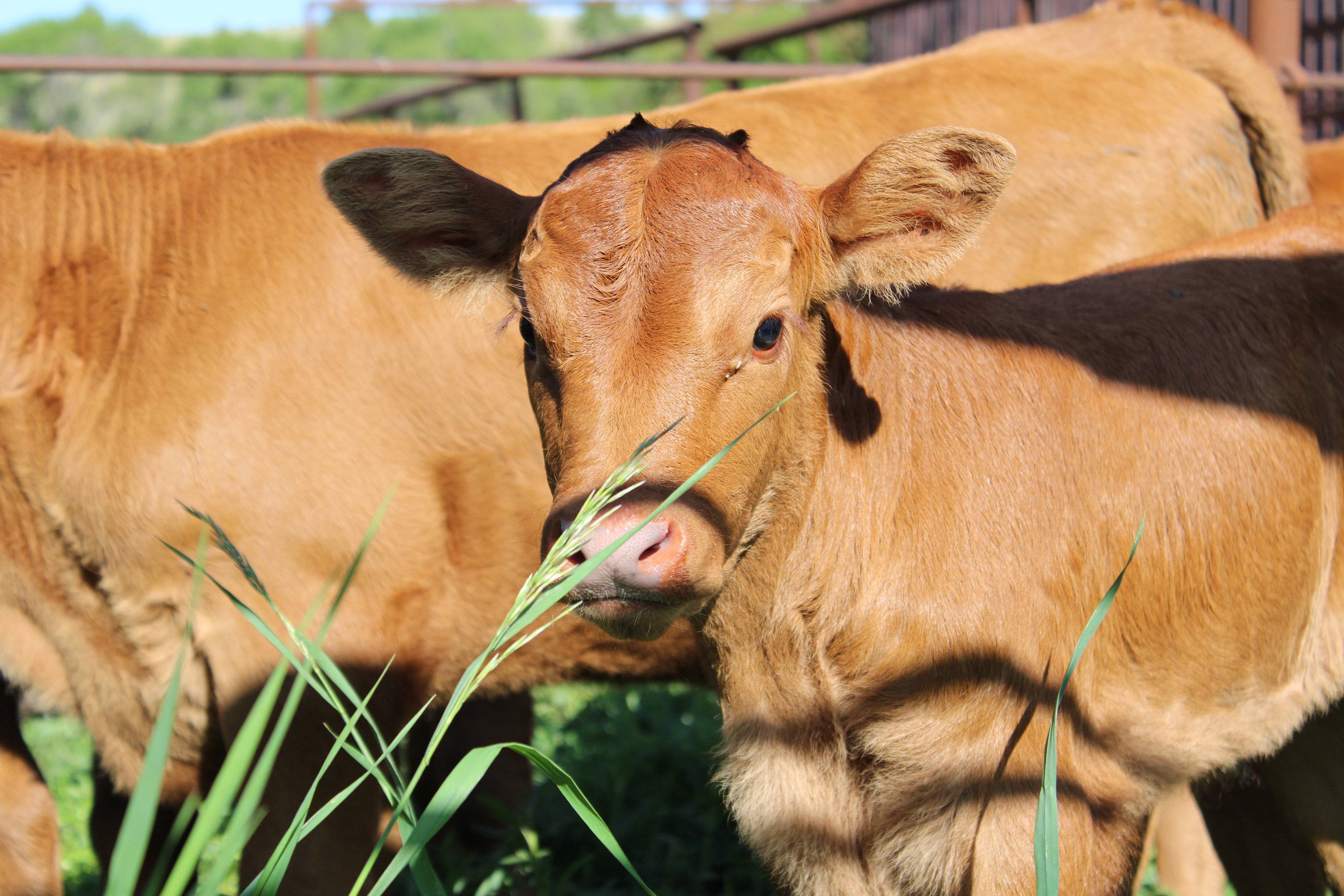 2025 Spring Branding