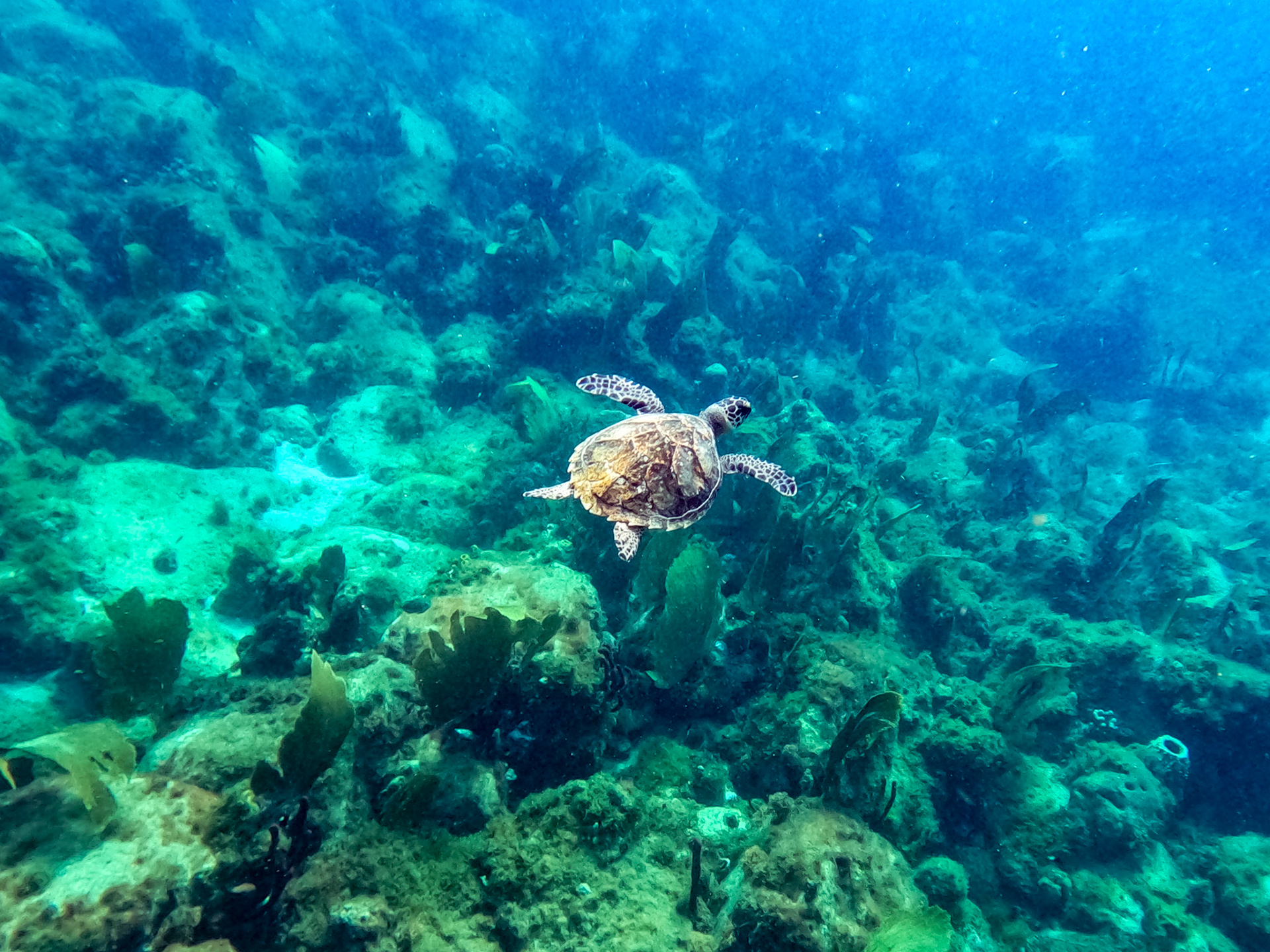 DCIM\100GOPRO\GOPR0923.JPG