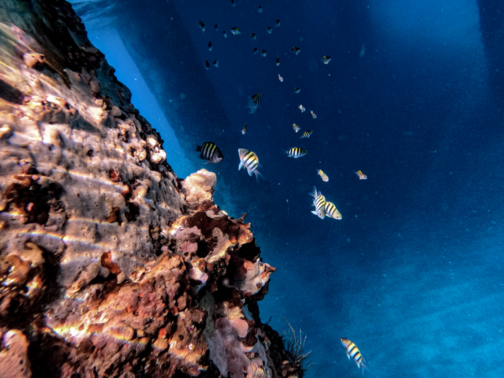 DCIM\100GOPRO\GOPR0857.JPG