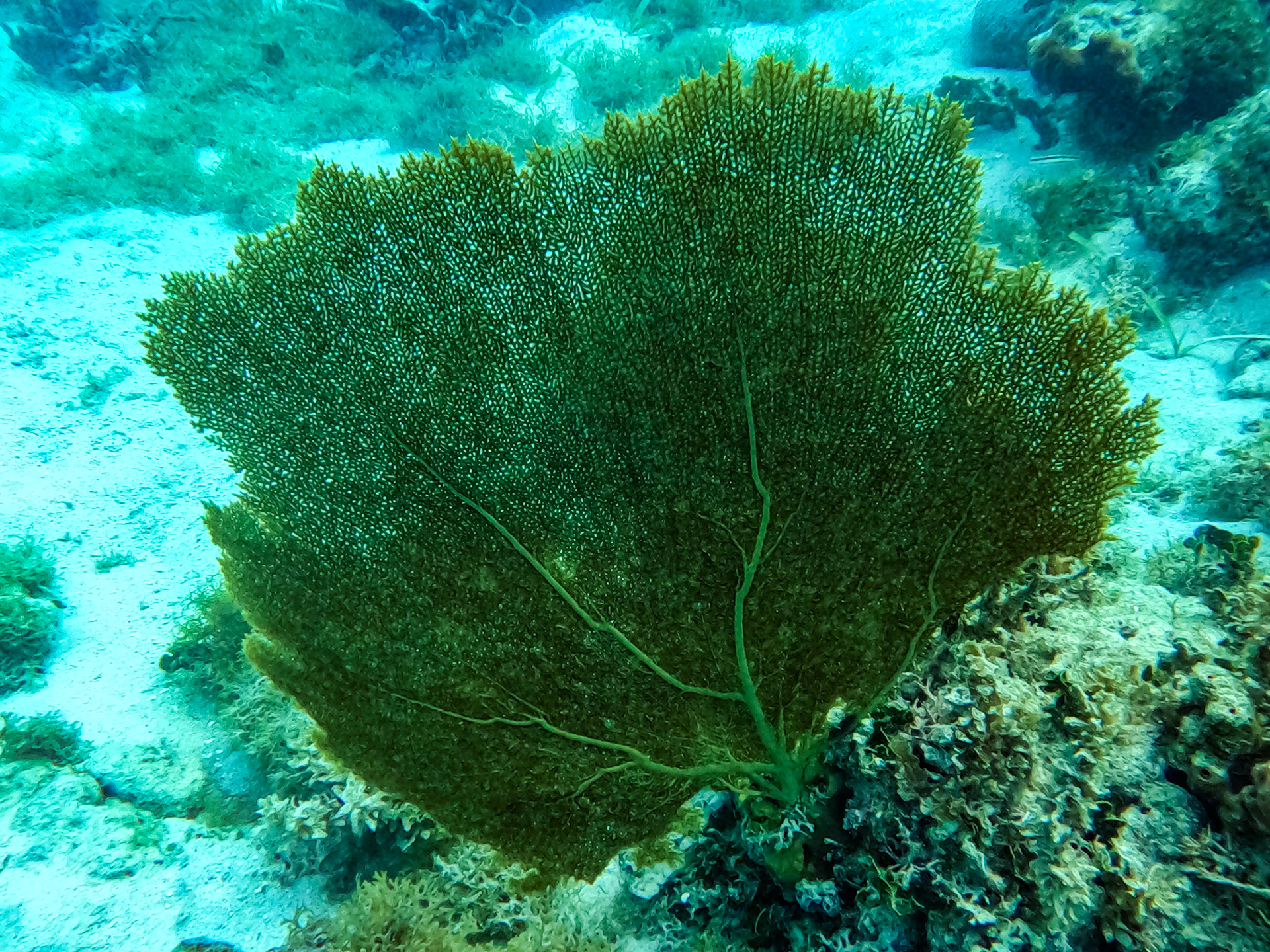 DCIM\100GOPRO\GOPR0639.JPG