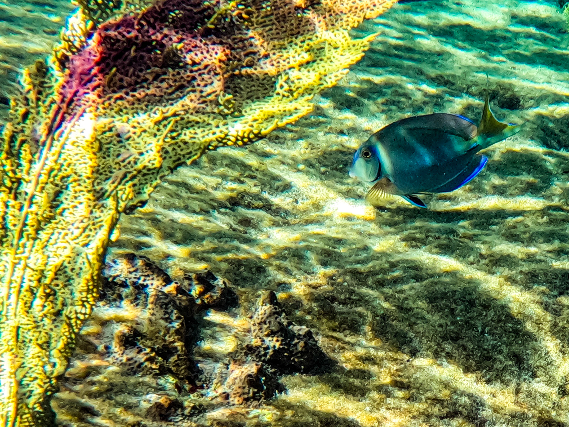 DCIM\100GOPRO\GOPR0738.JPG