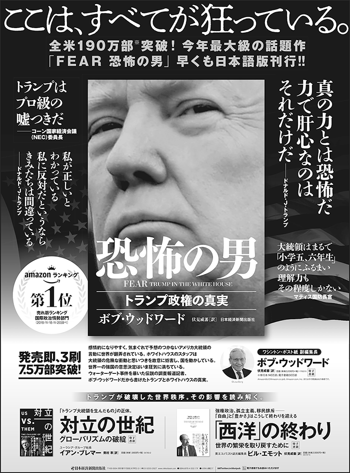 日本経済新聞　全30段広告
