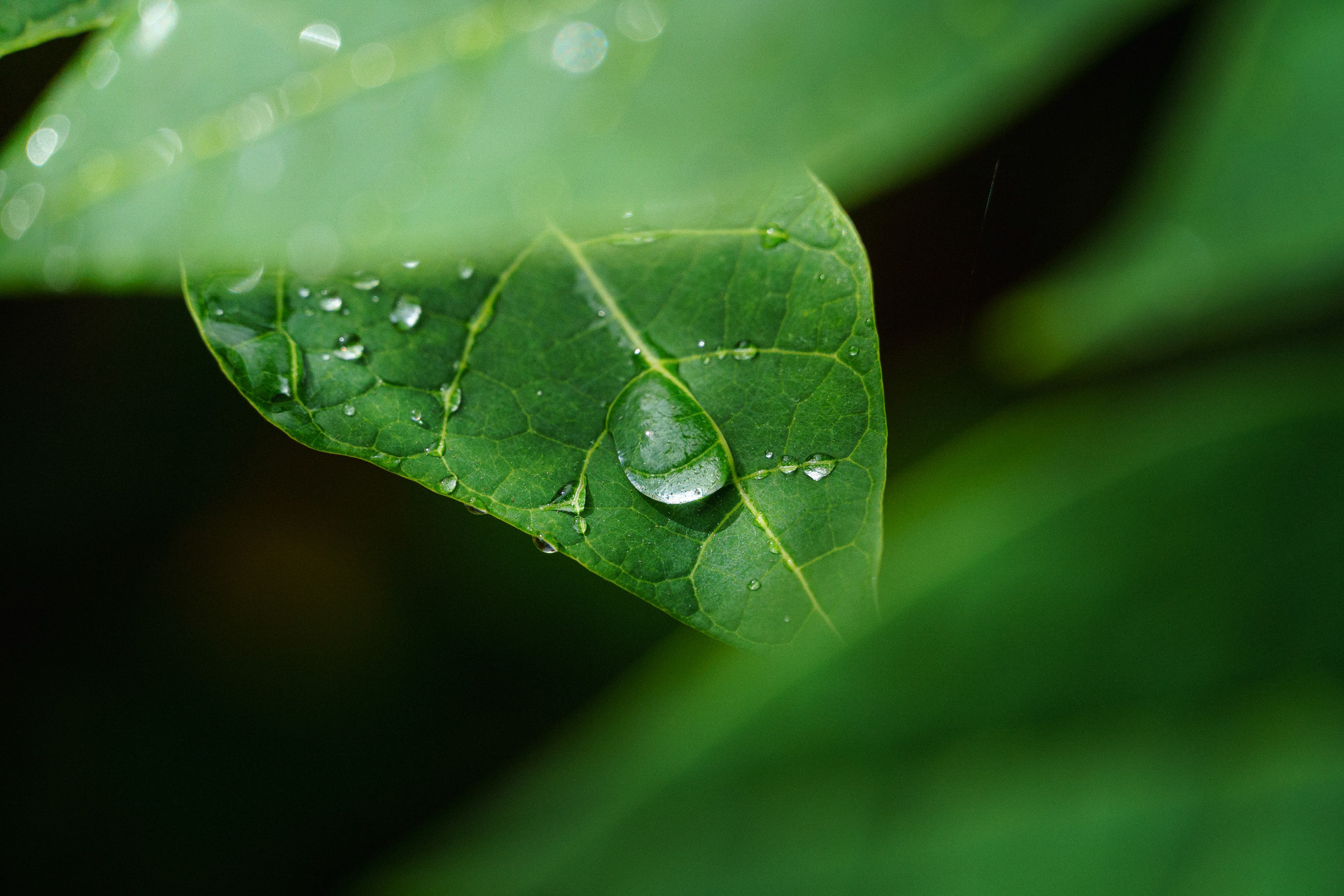 After rain