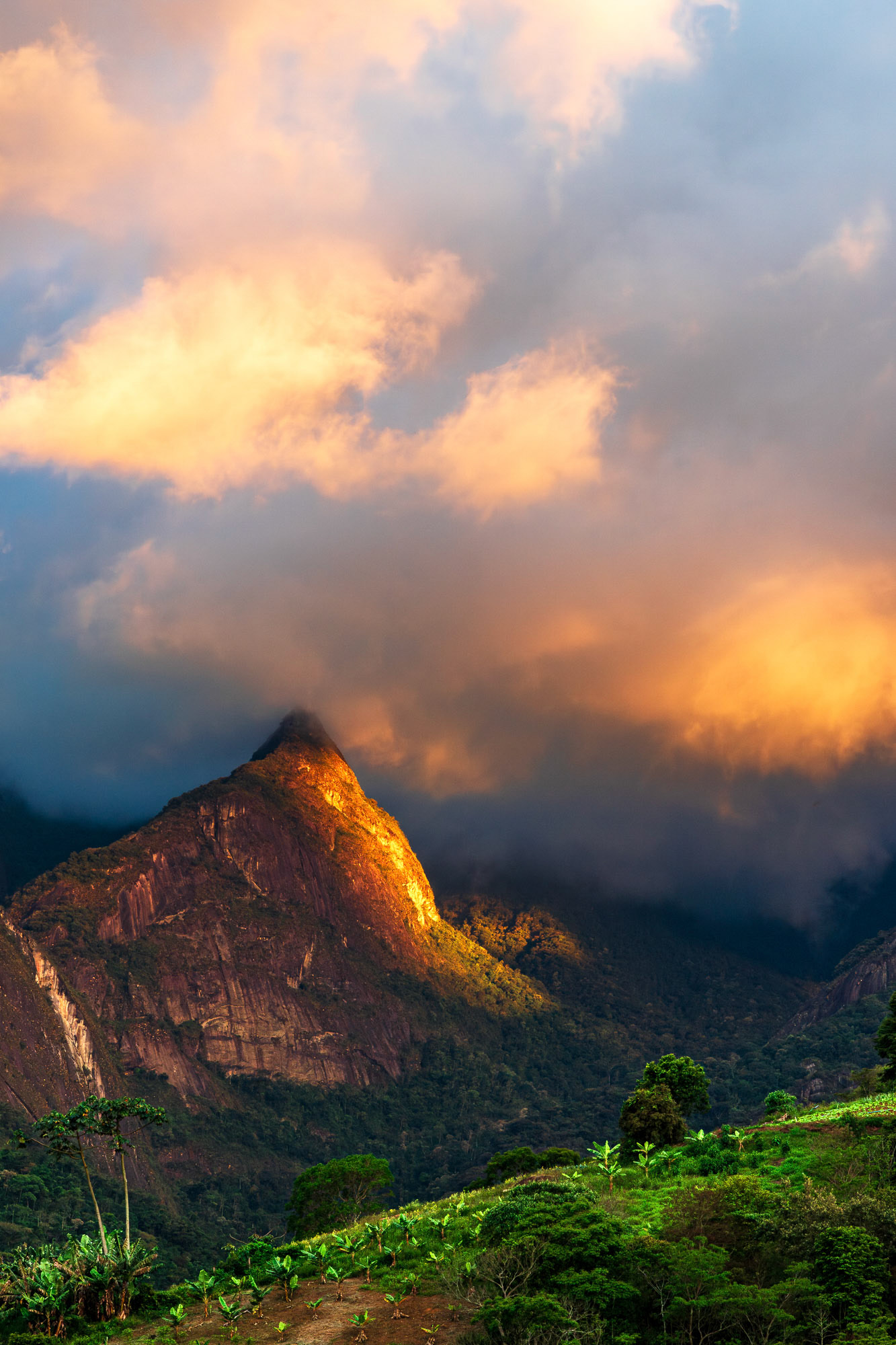 (PARNASO #9) The lit mountain • A montanha iluminada