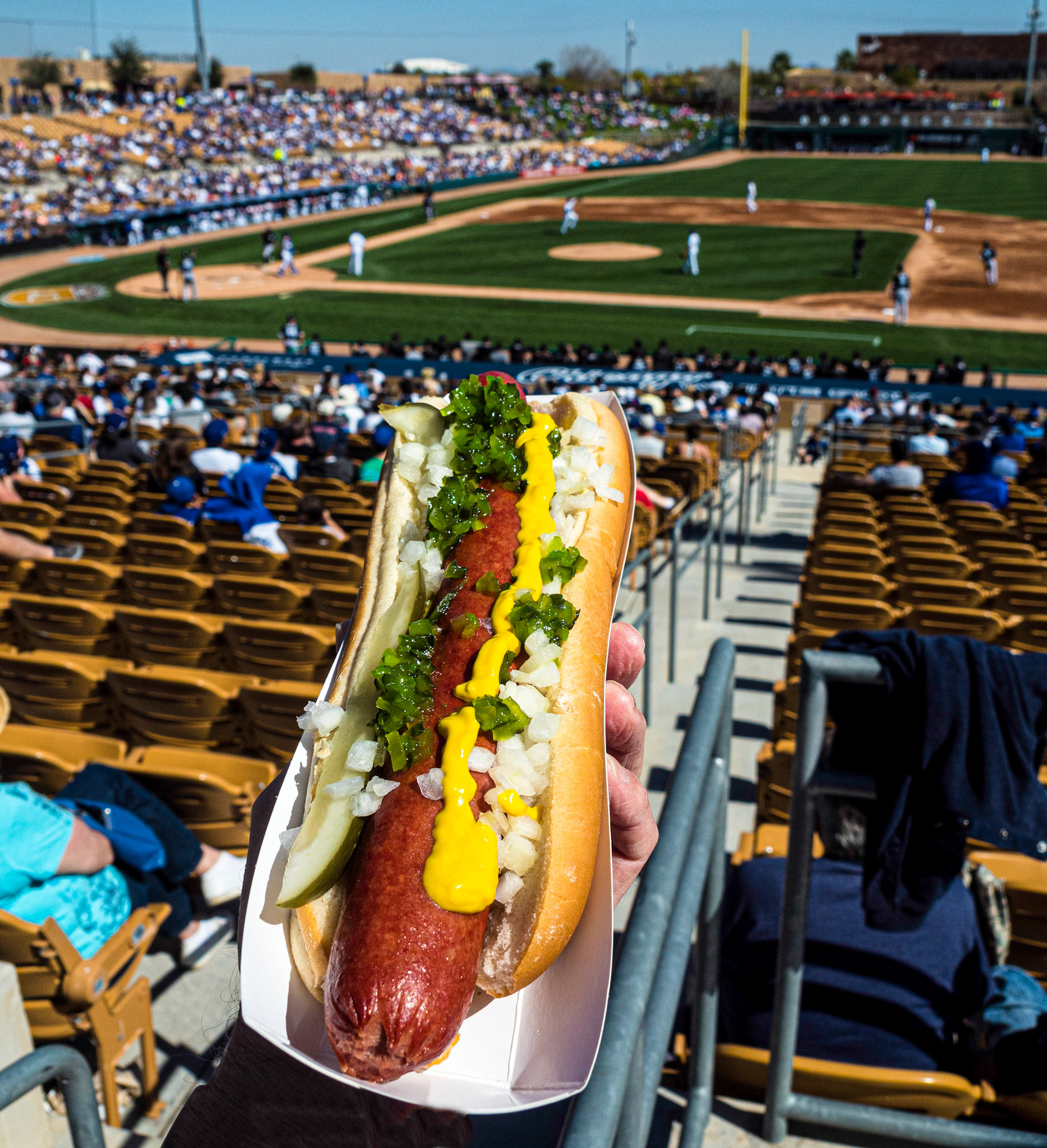 Spring Training Dodger Dog